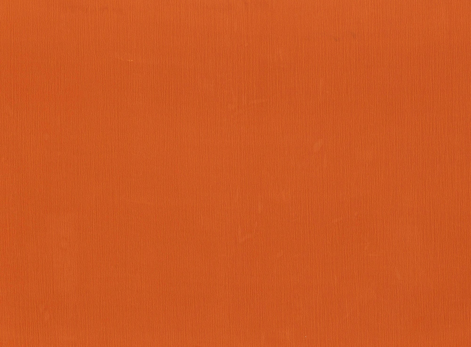 #color_NEON ORANGE