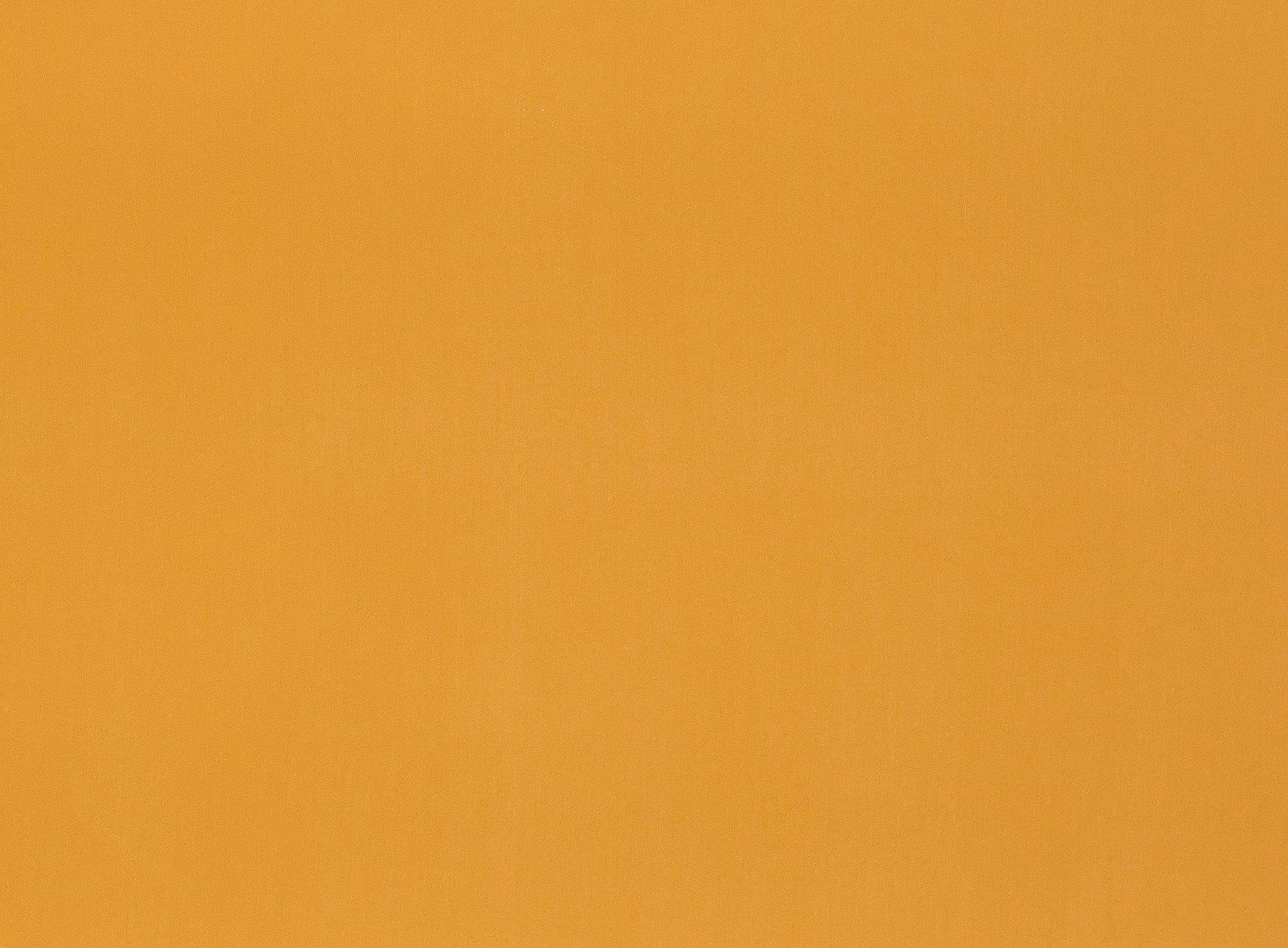 #color_AUTUMN YELLOW