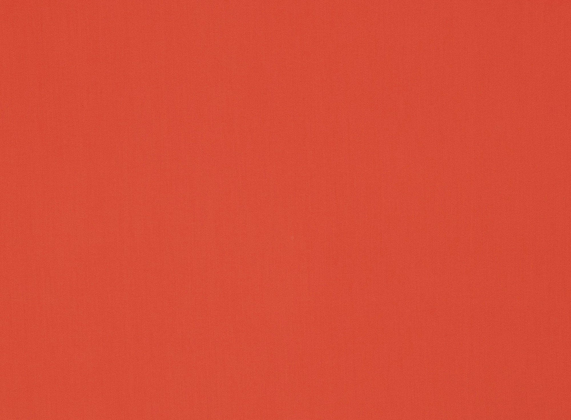 #color_NEW CORAL