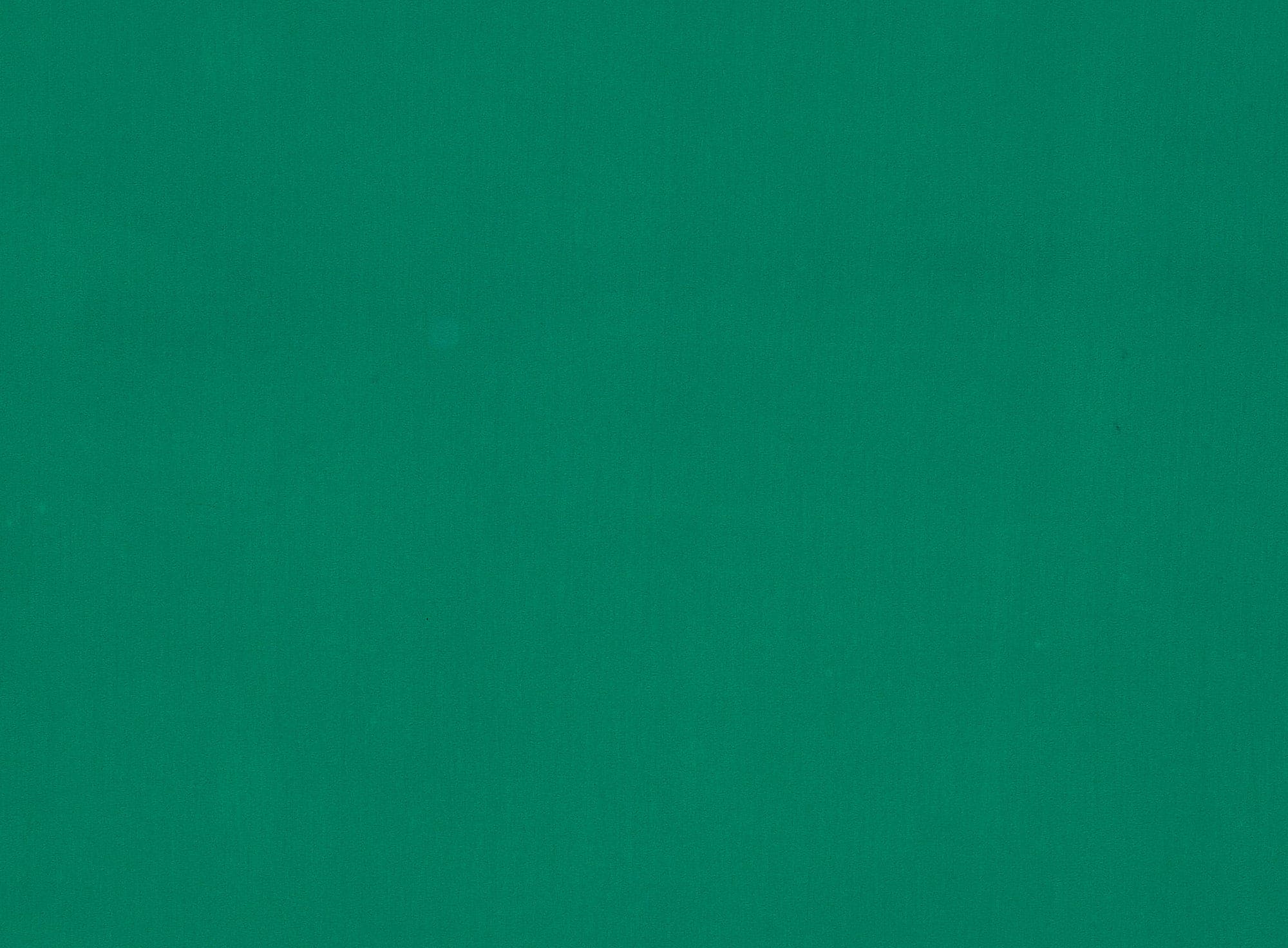 #color_NEW GREEN