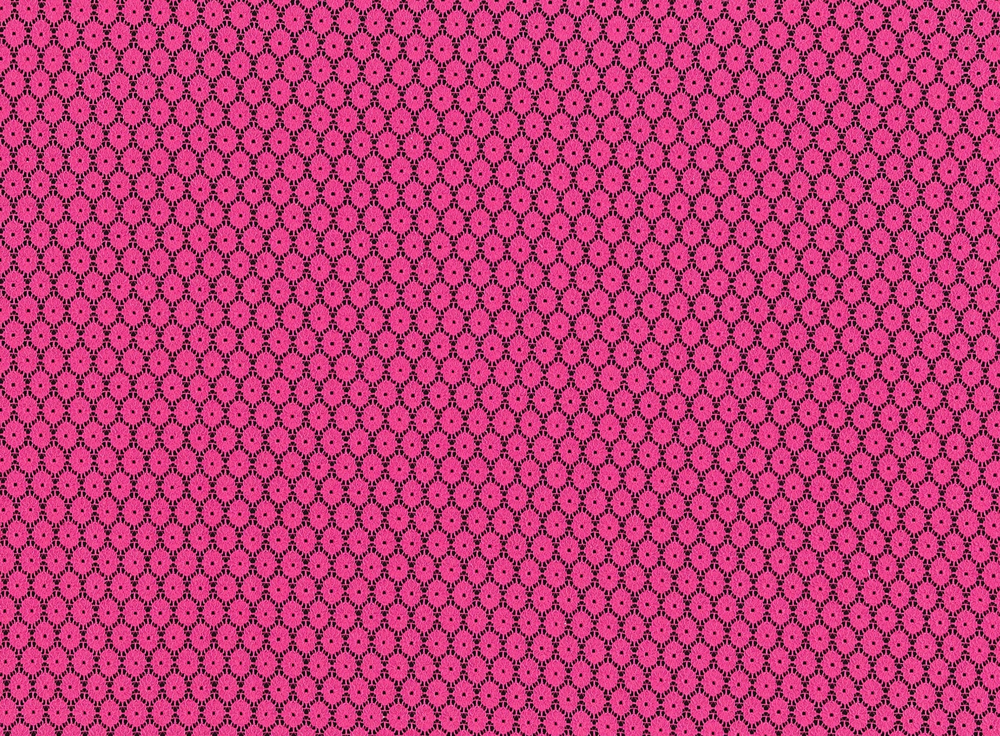#color_FUCHSIA