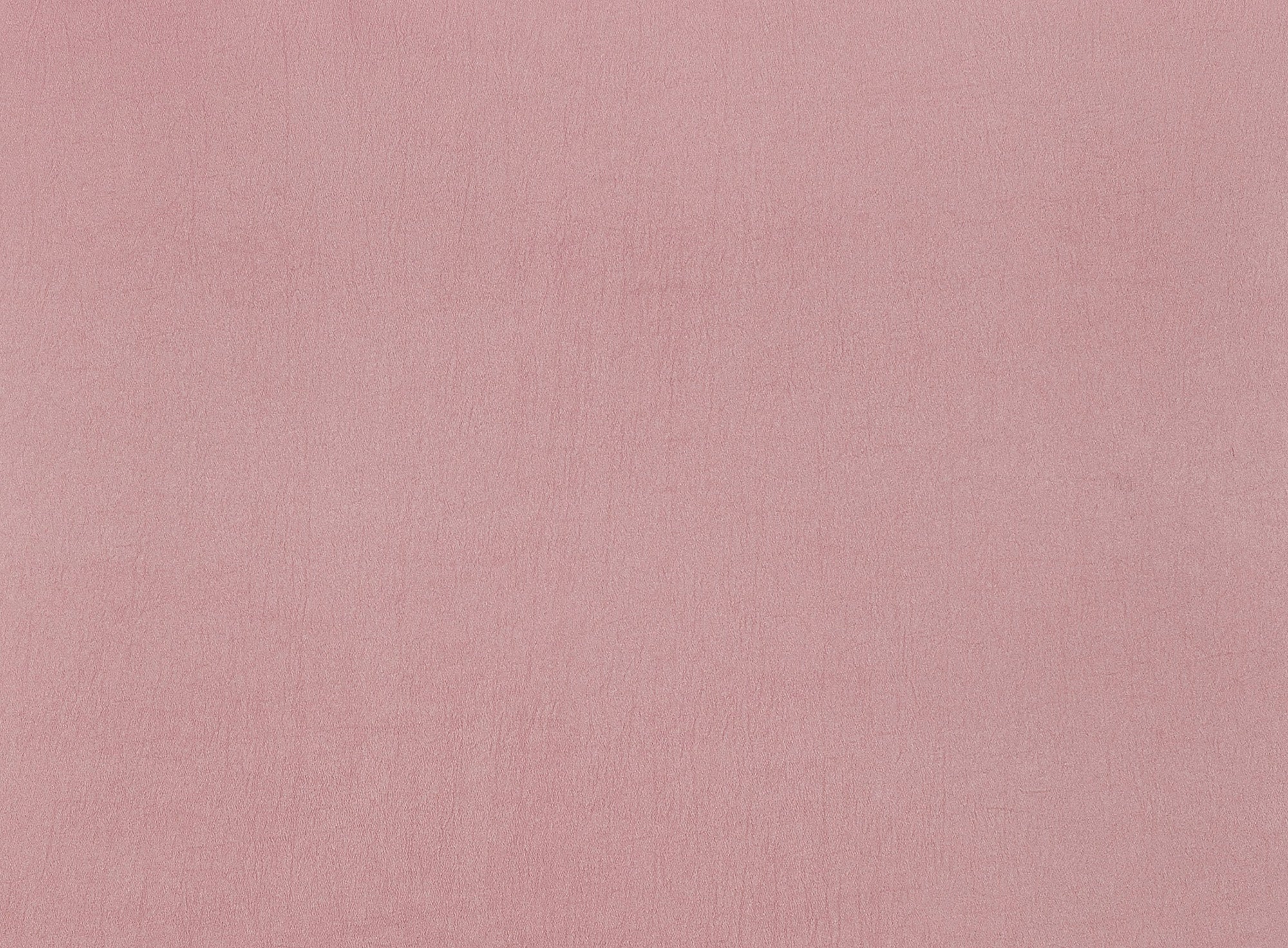 #color_PEACH WONDERFUL