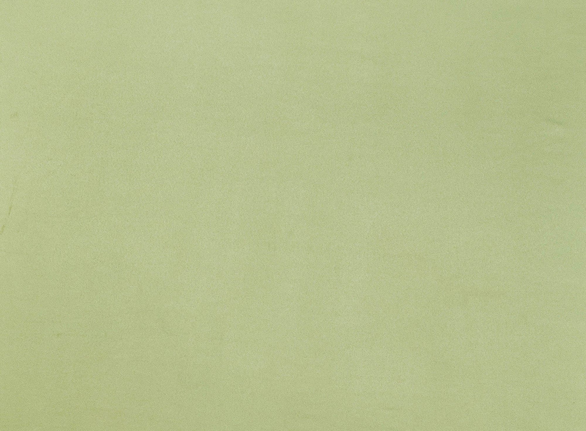 #color_PETAL LIME