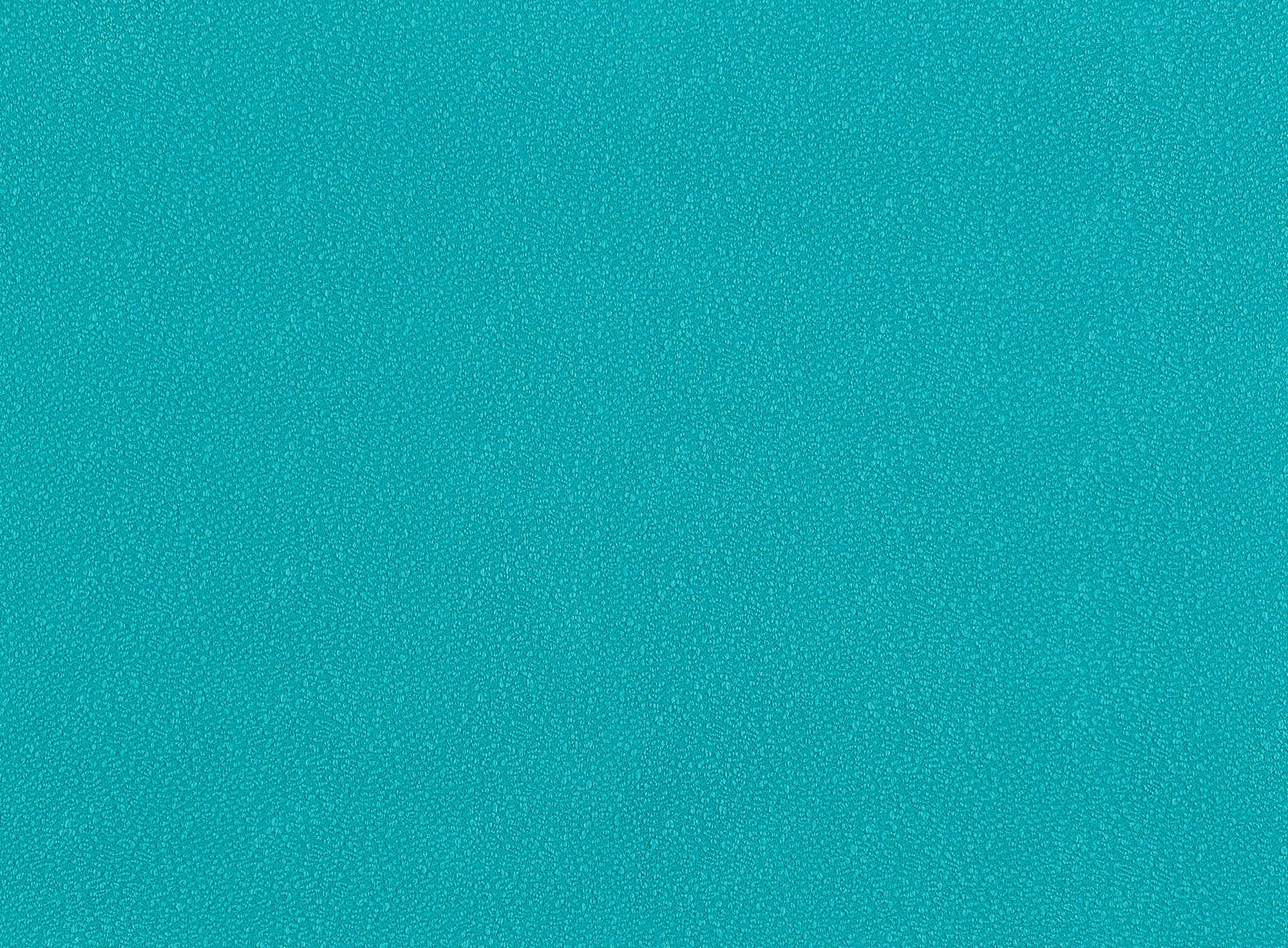 #color_MINT LEAF
