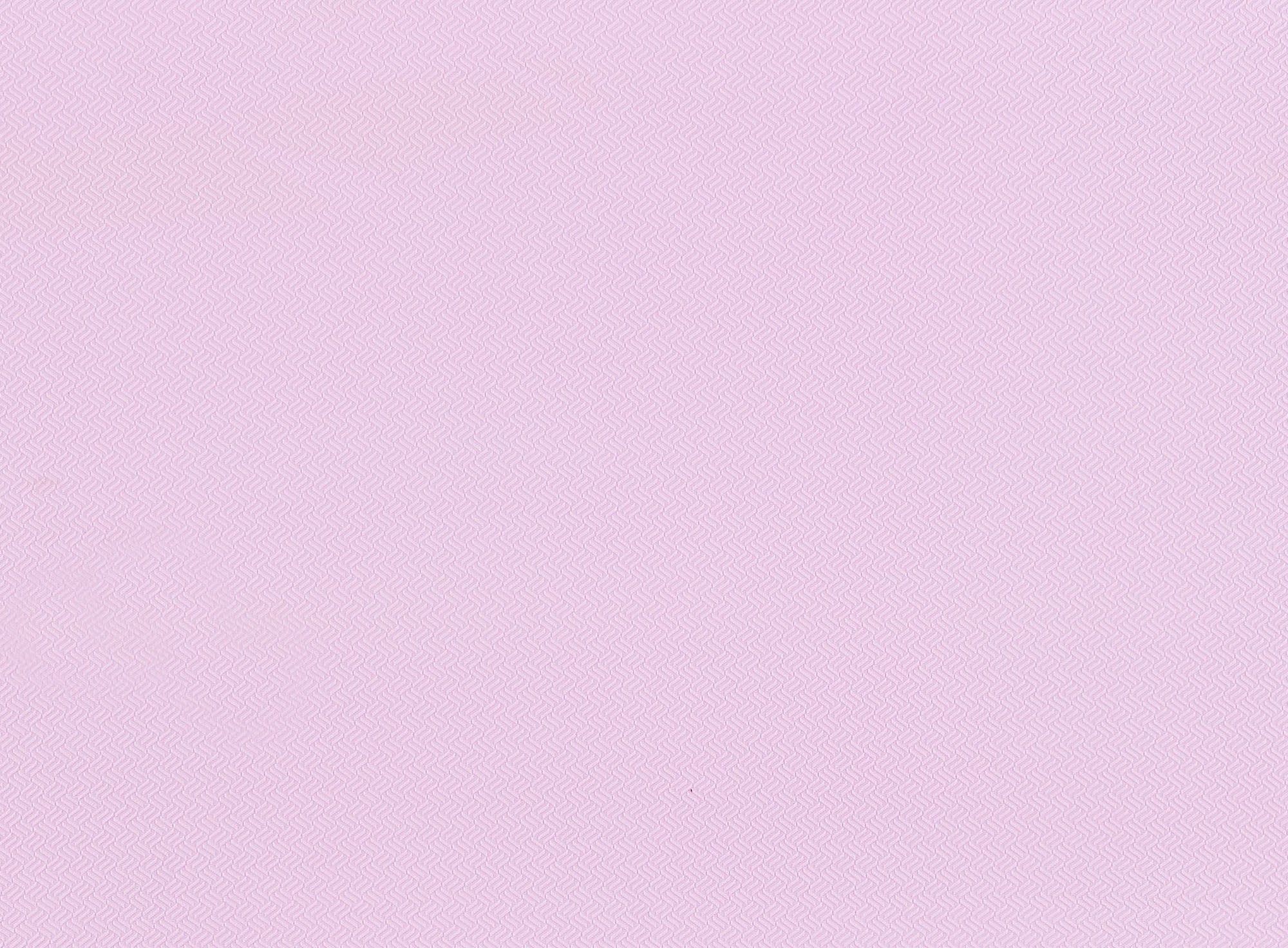 #color_PINK FEATHER