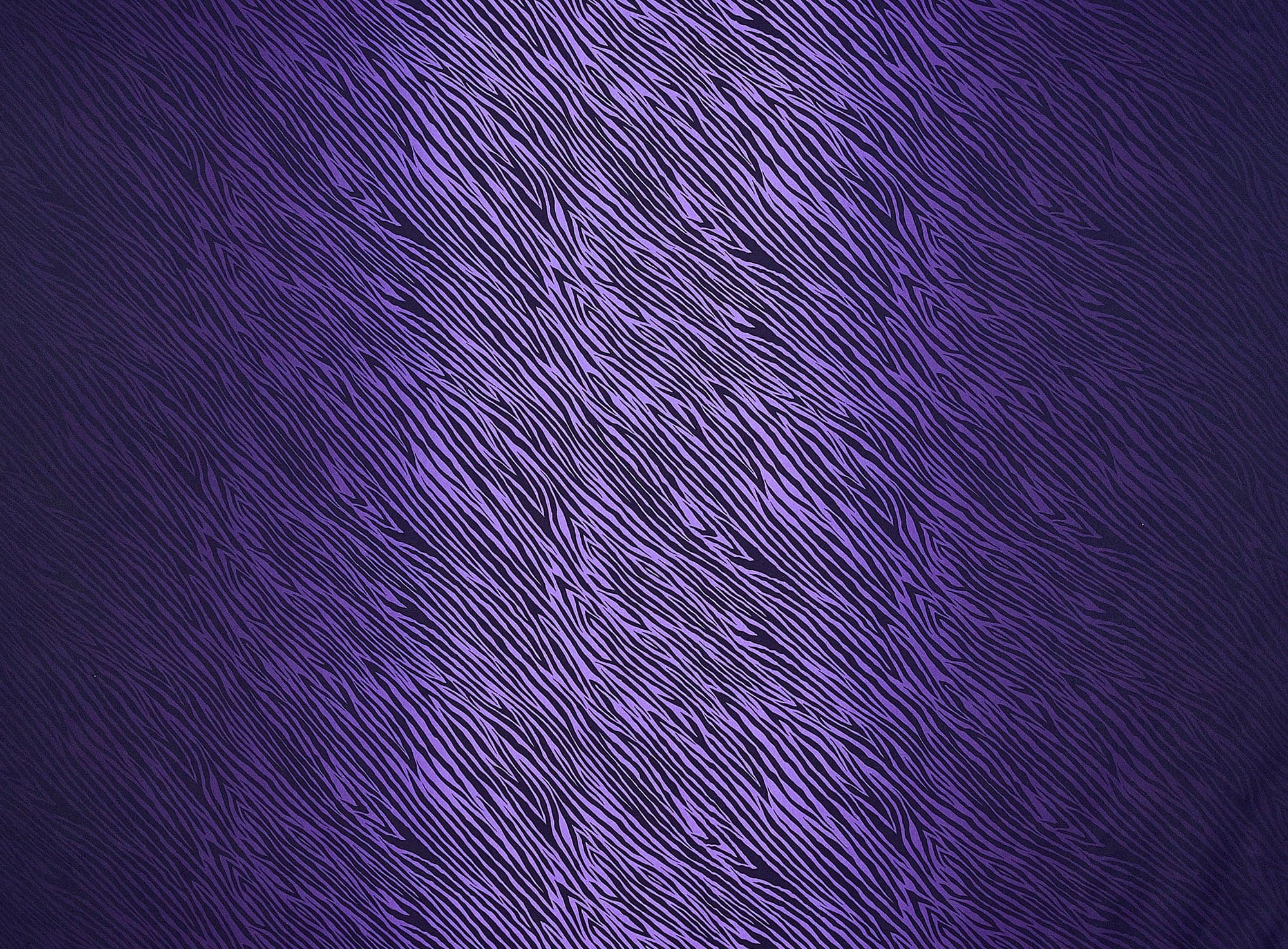 #color_BLK/PURPLE ROX