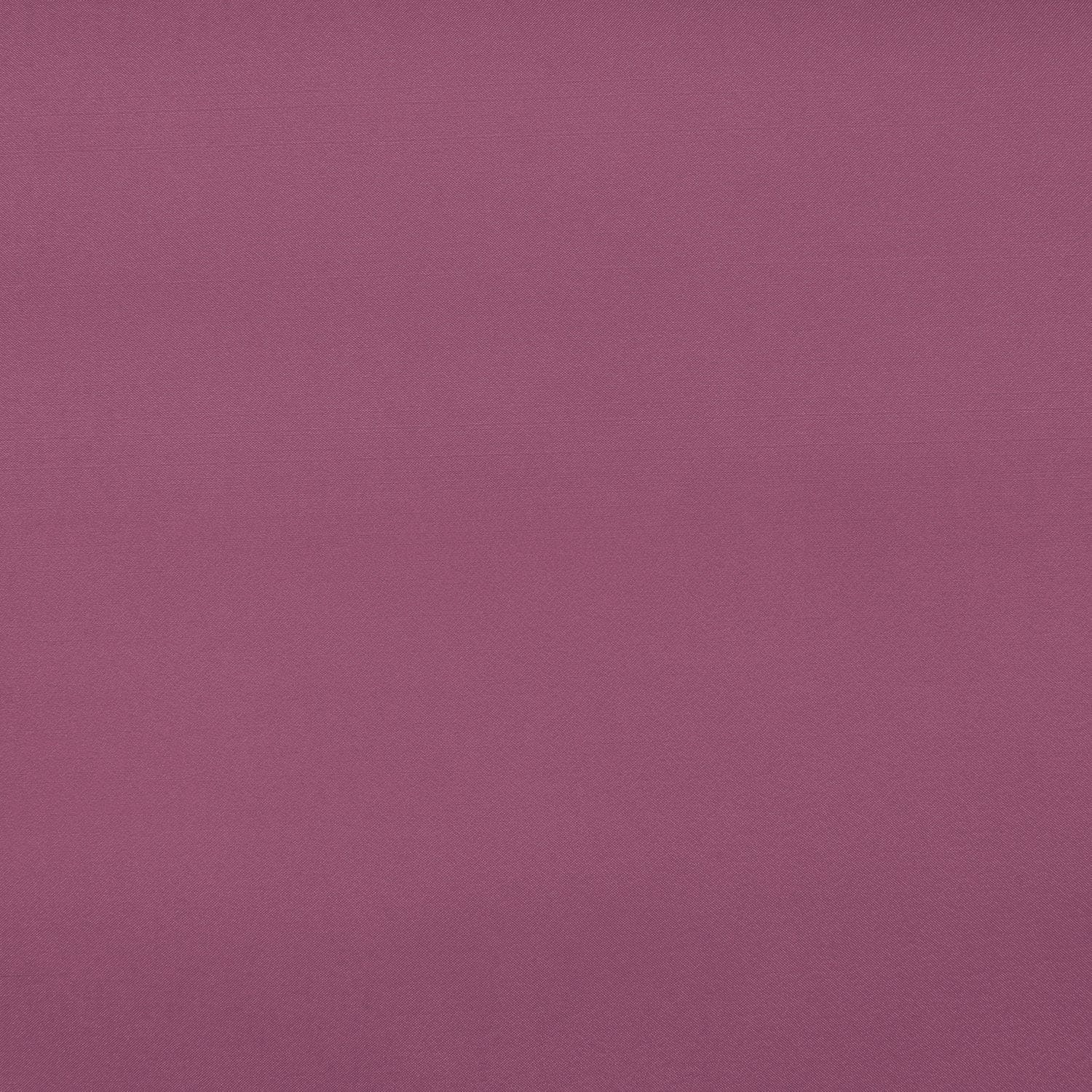 #color_AMETHYST JOLLY