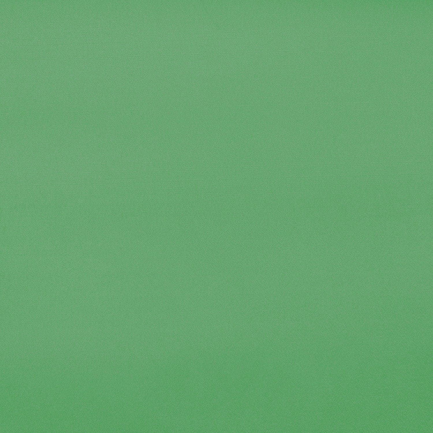 #color_INDIAN PERIDOT