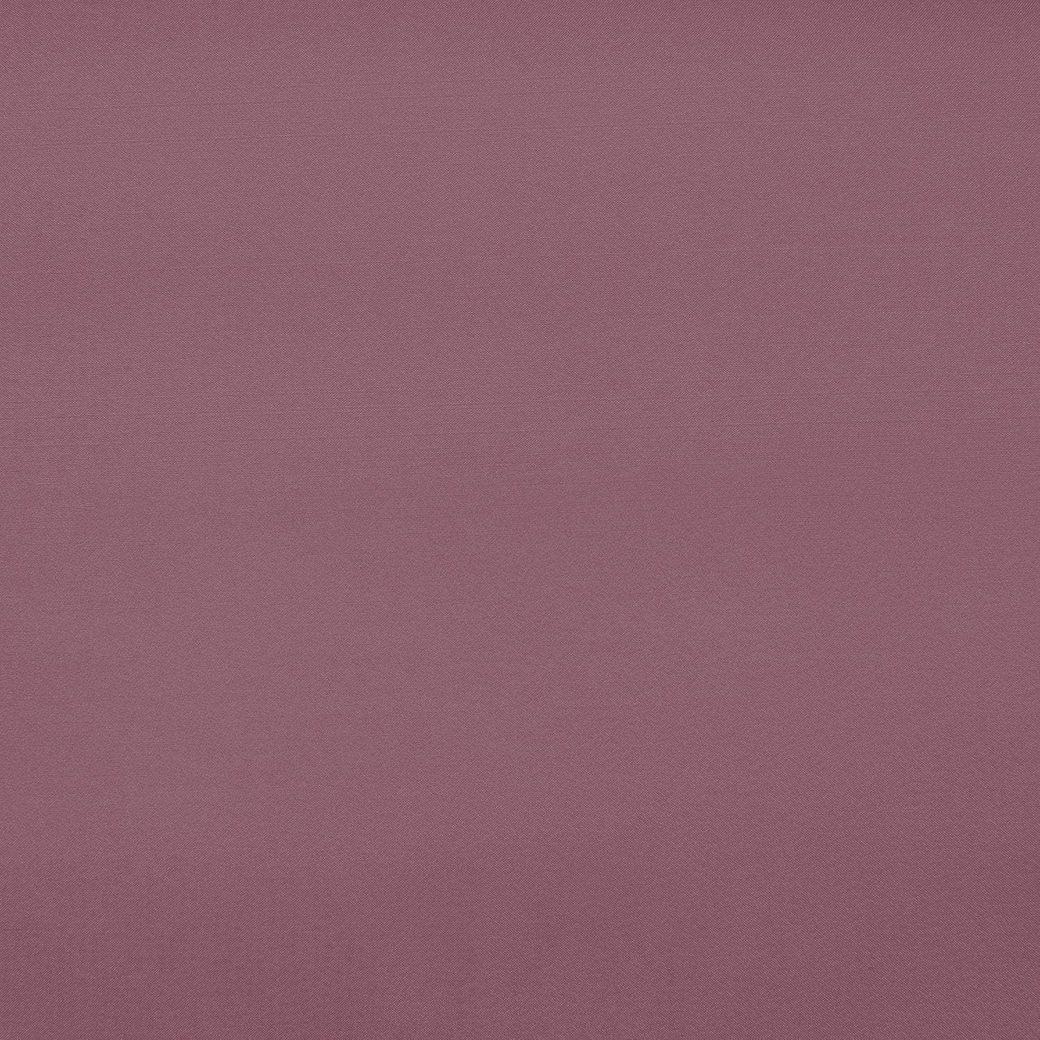 #color_TWINKLE BERRY
