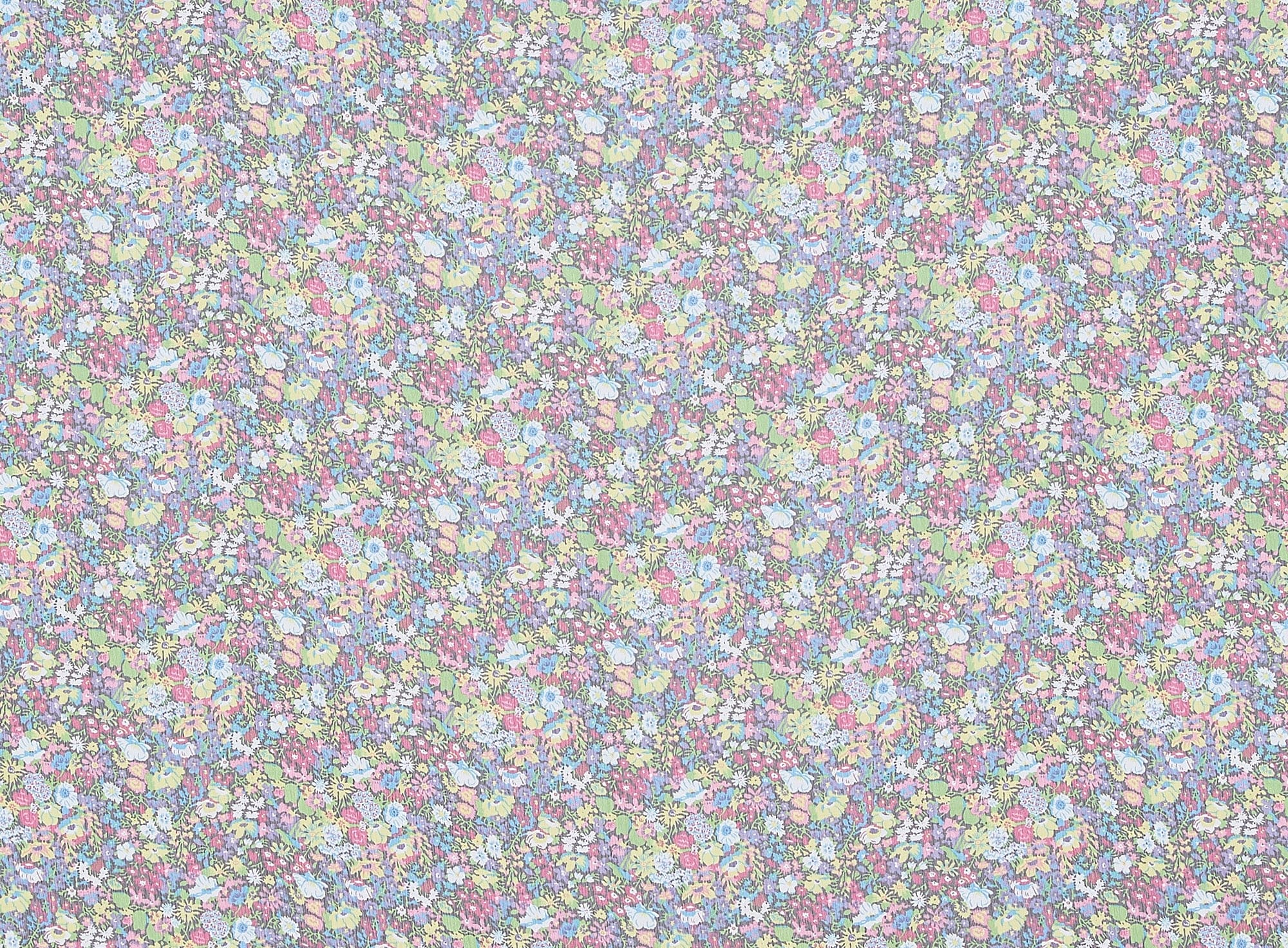 #color_FUCHSIA MULTI
