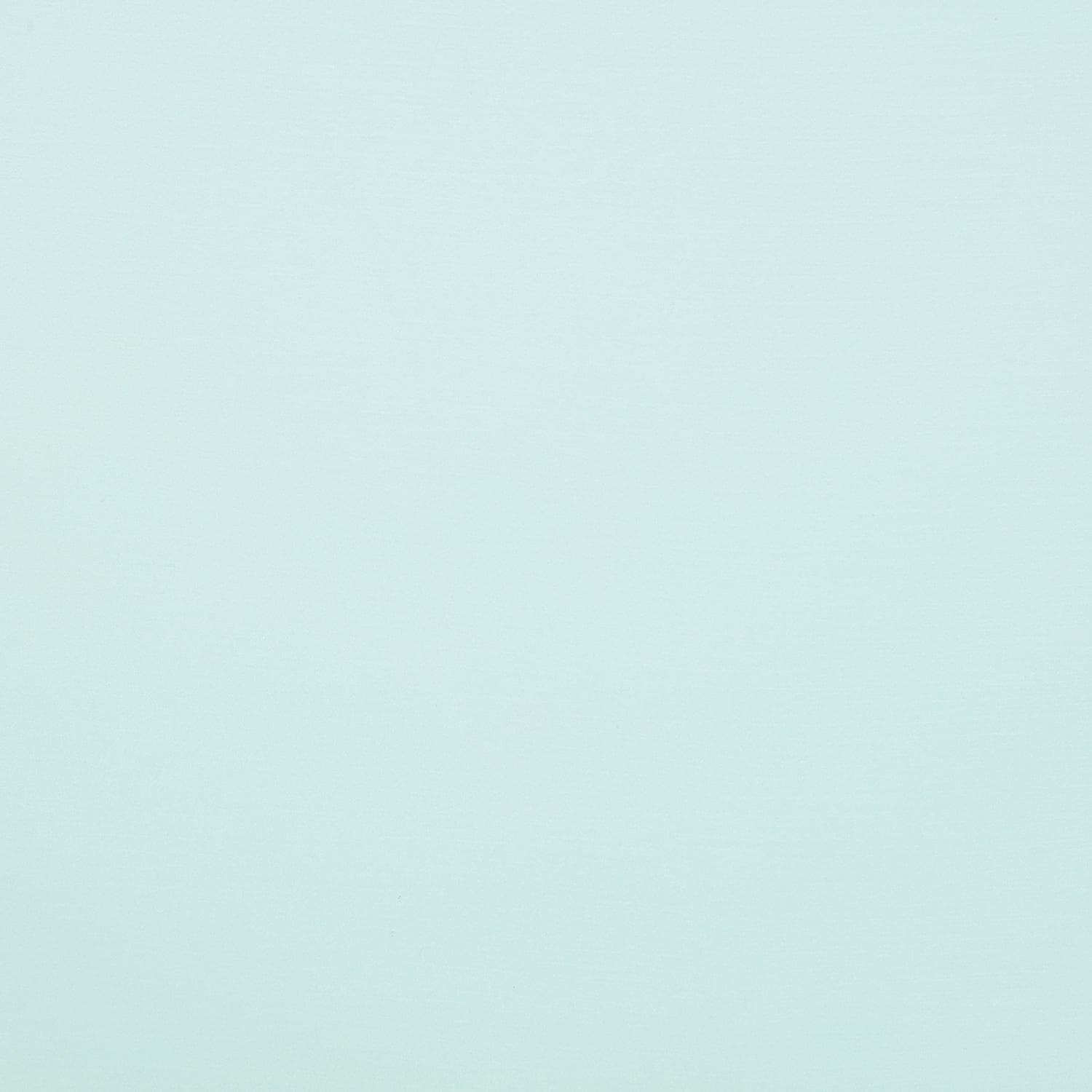 #color_W MINT