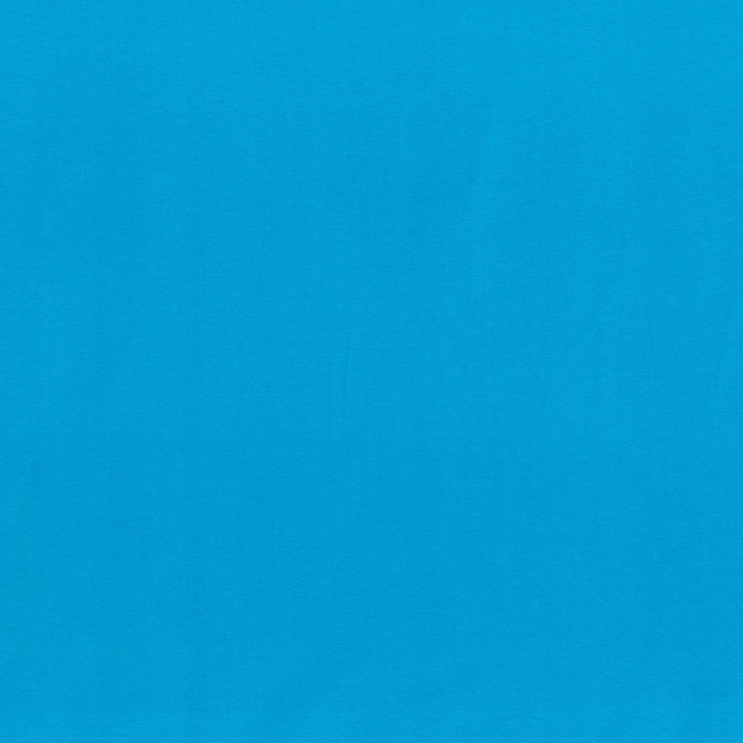 #color_C MANGIA BLUE