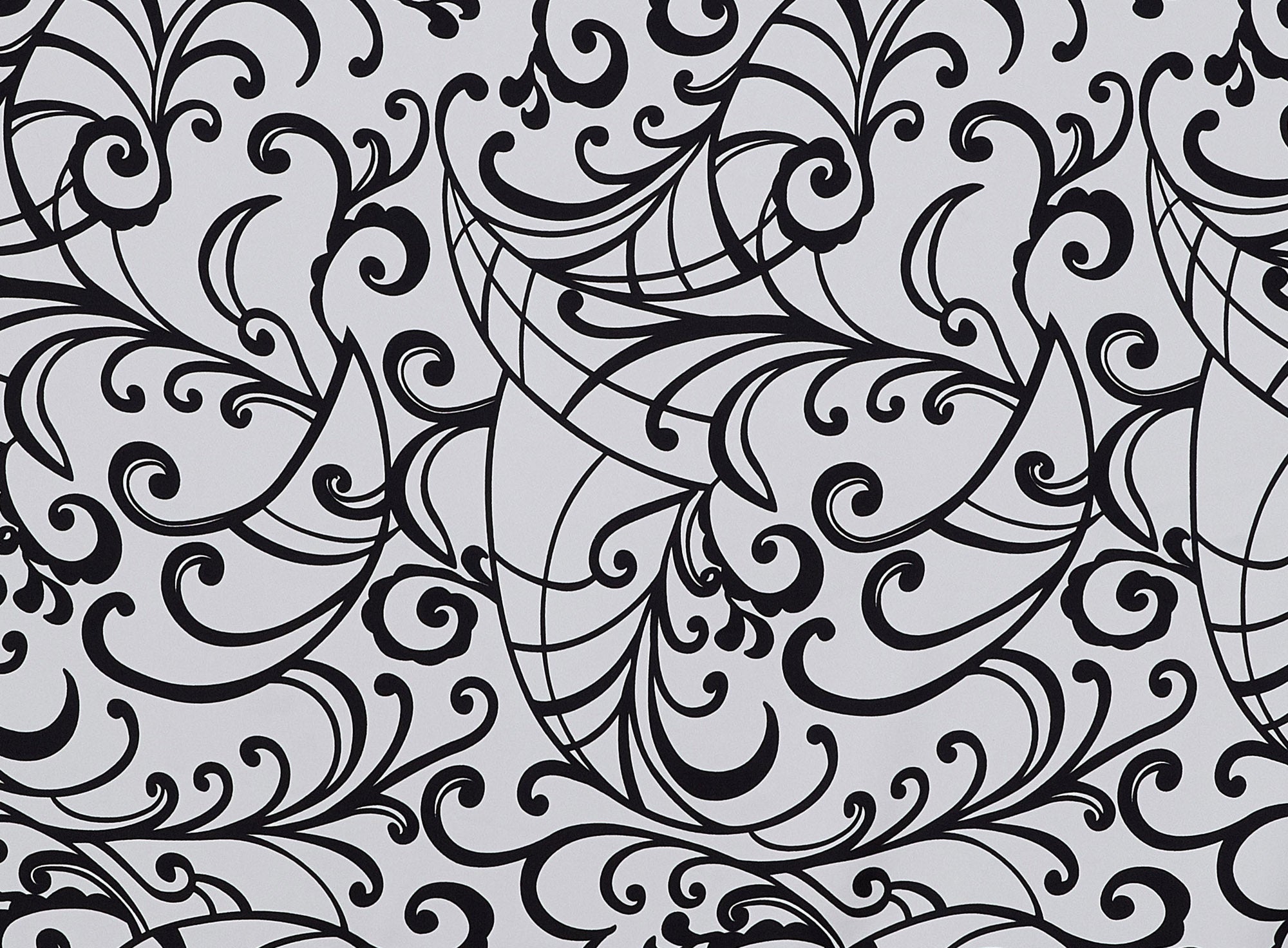 #color_WHITE/BLACK