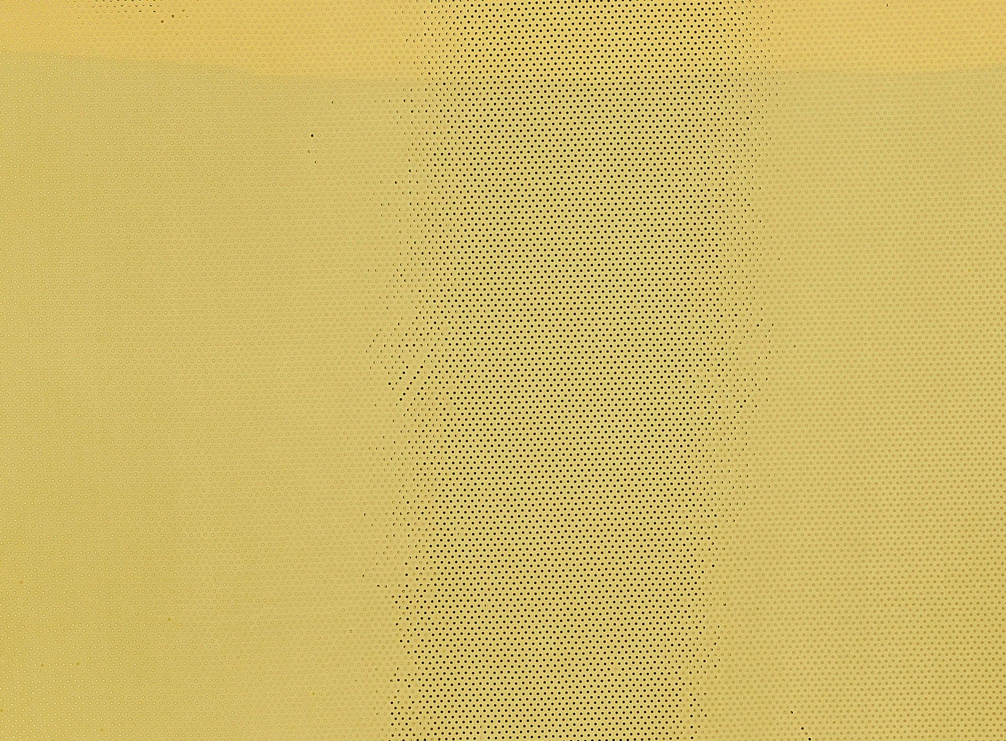 #color_SUNFLOWR ORCHID