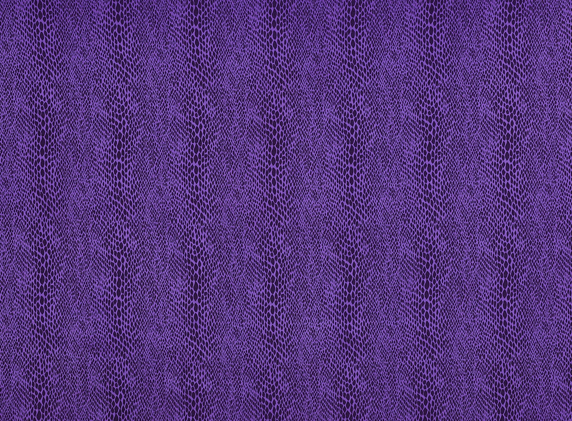 #color_PURPLE