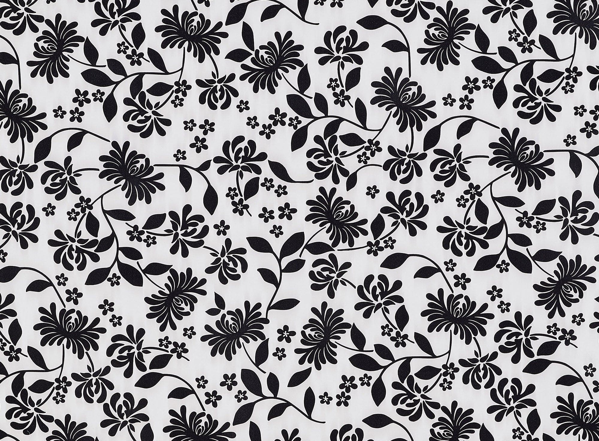 #color_IVORY/BLACK