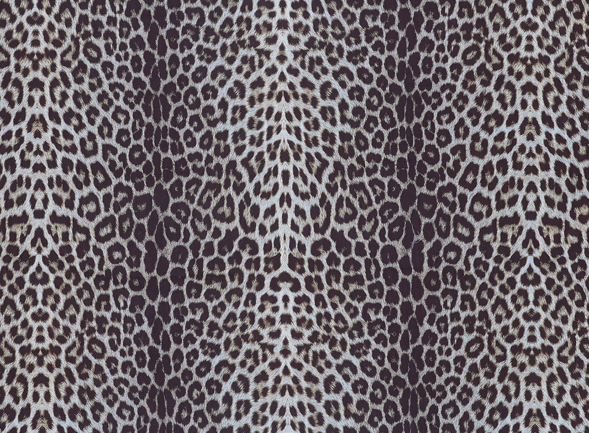 #color_OLIVE/BLACK