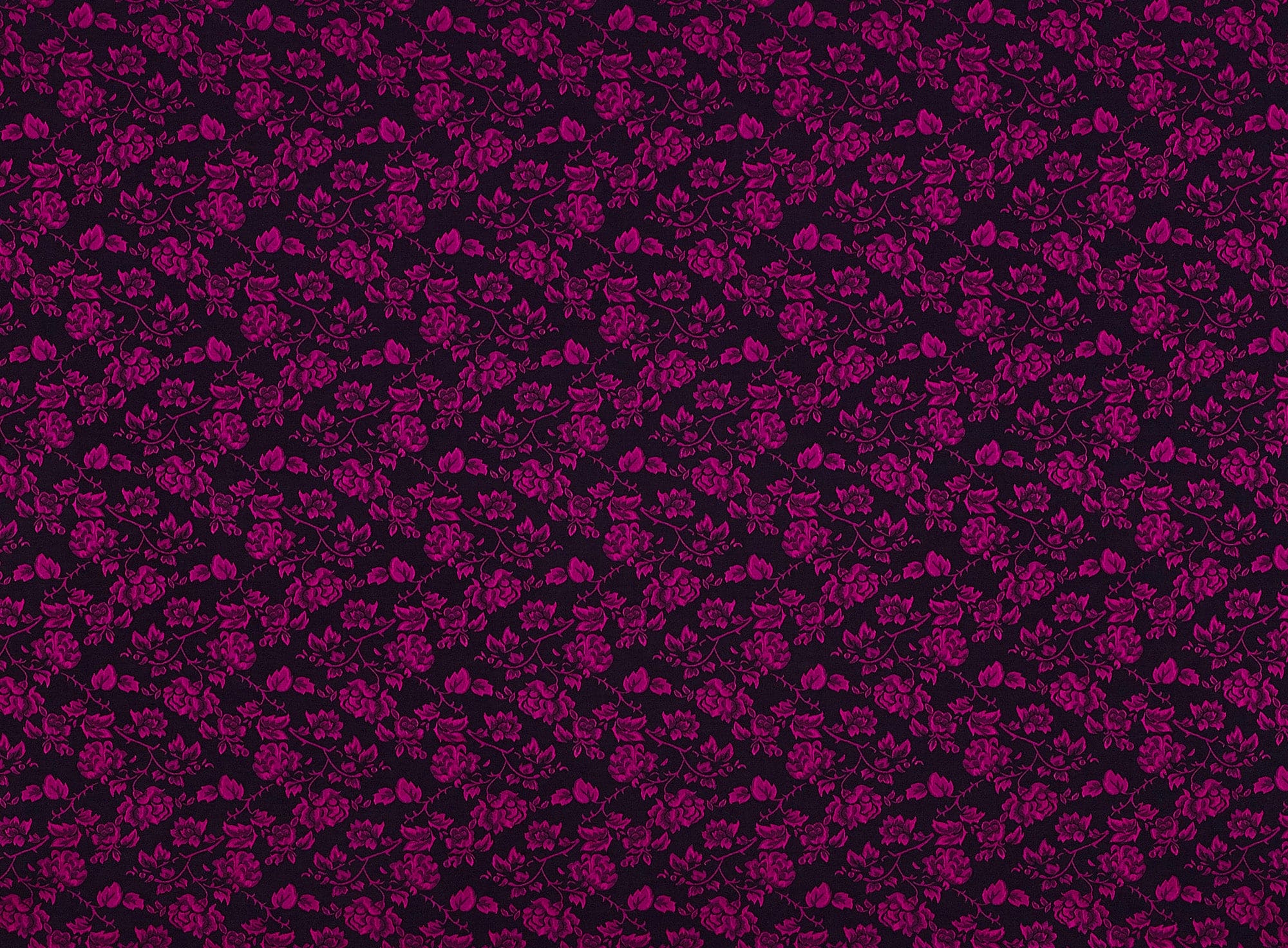 #color_FUCHSIA/BLACK