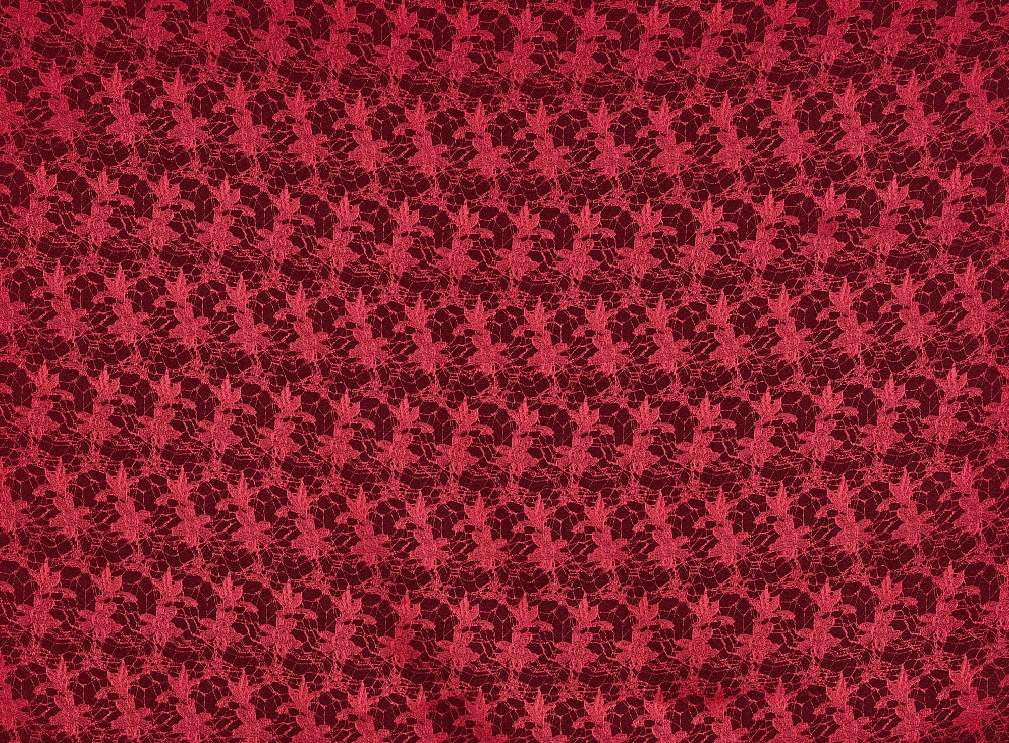 #color_LUSH RED