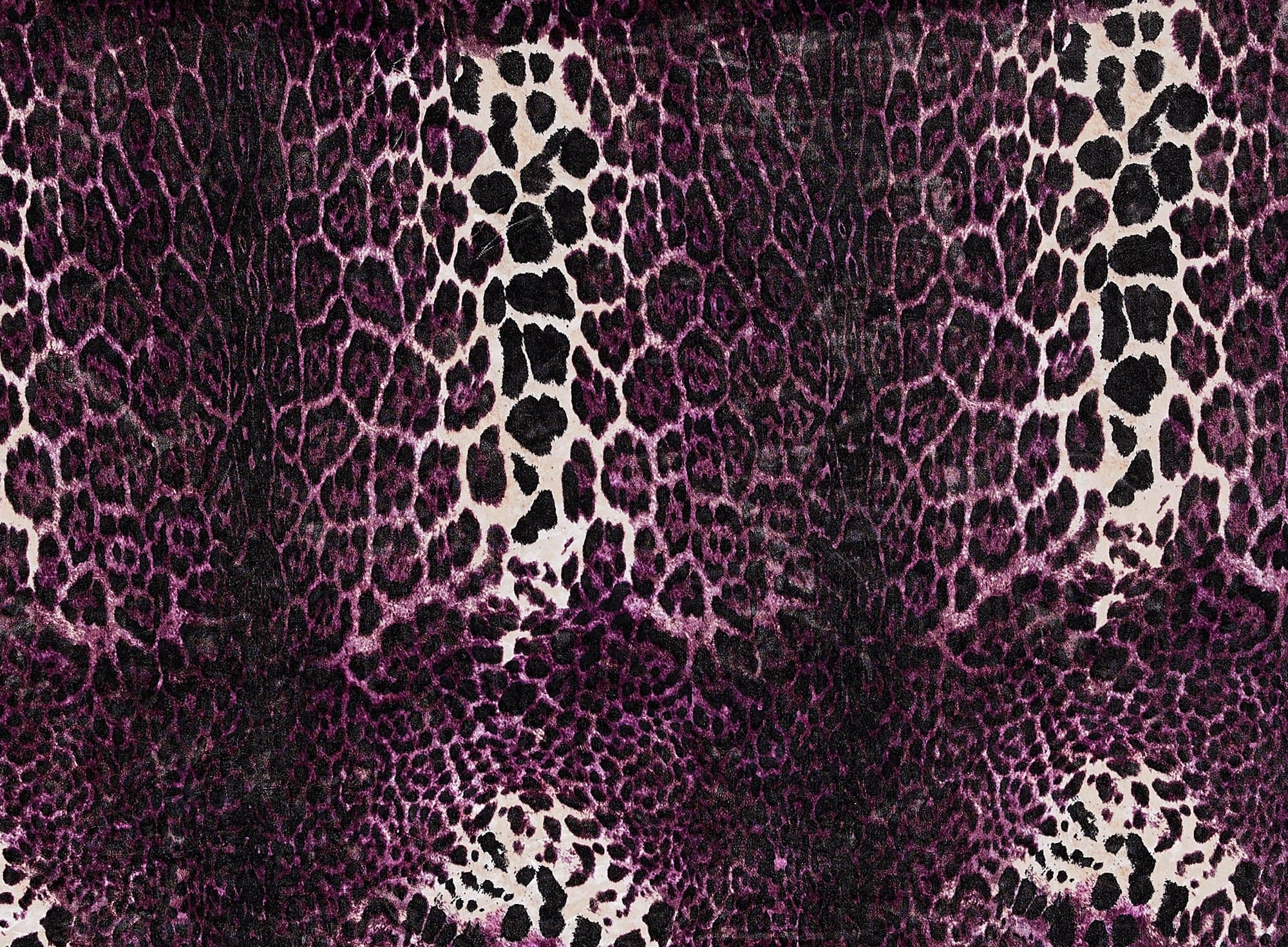 #color_PURPLE