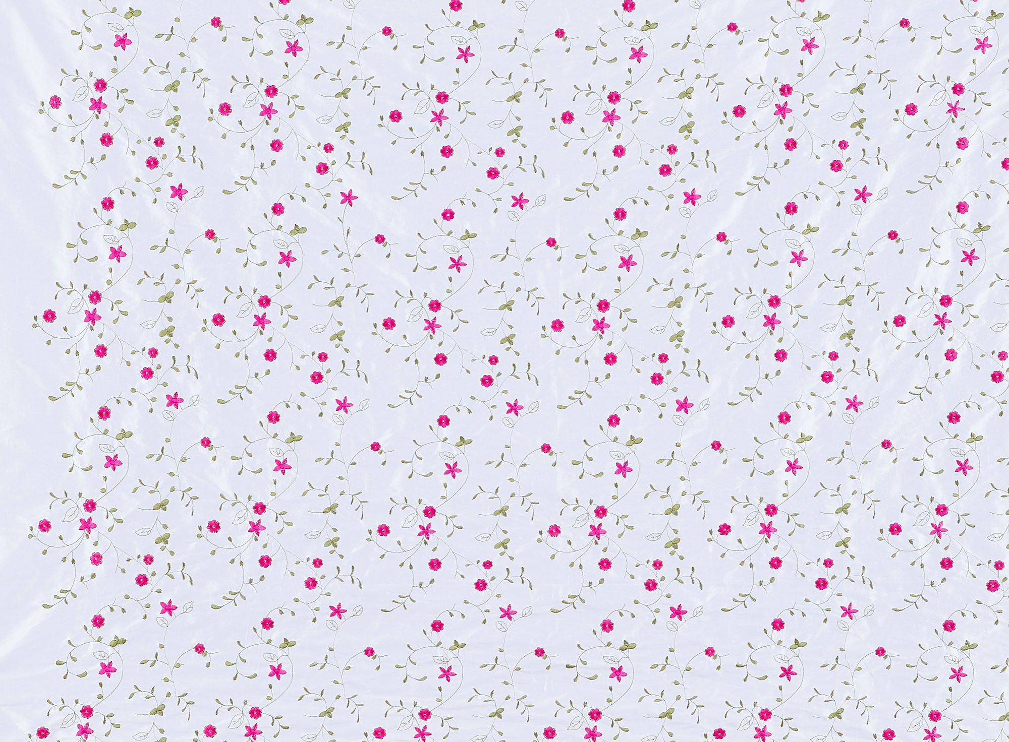 #color_WHITE/FUCHSIA