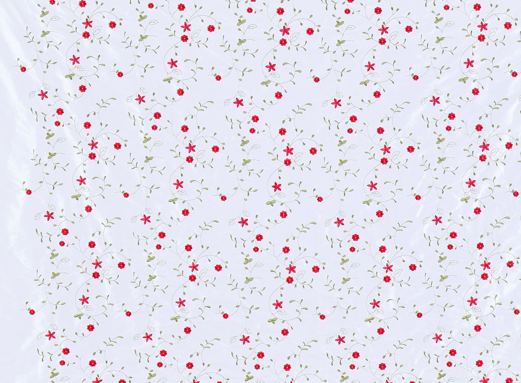 #color_WHITE/RED