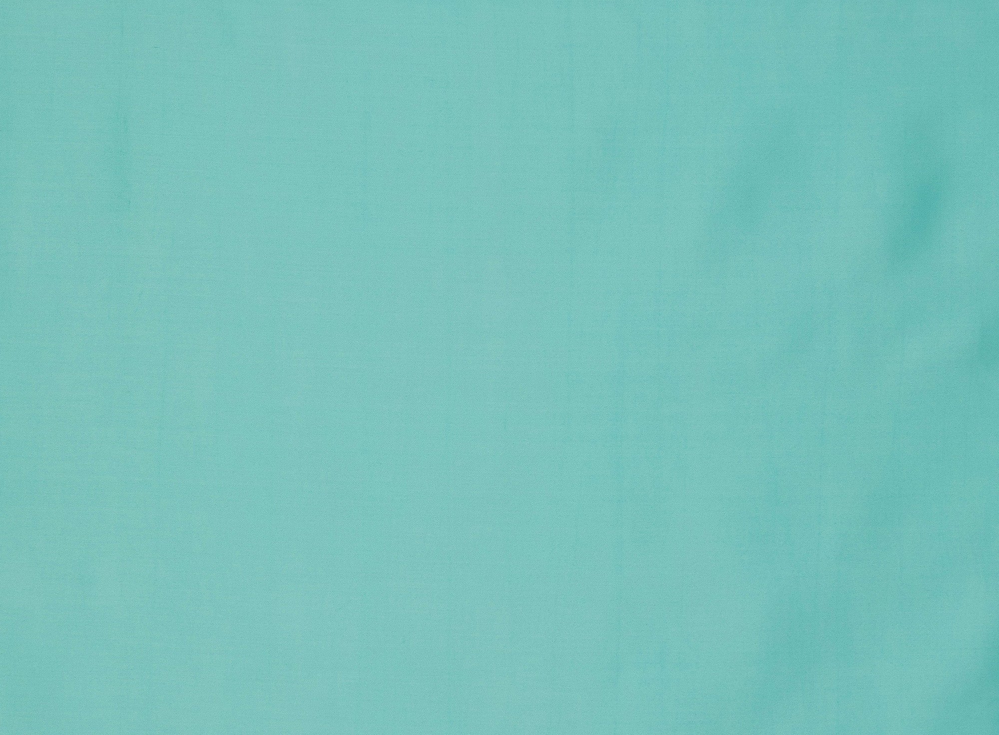 #color_MINT
