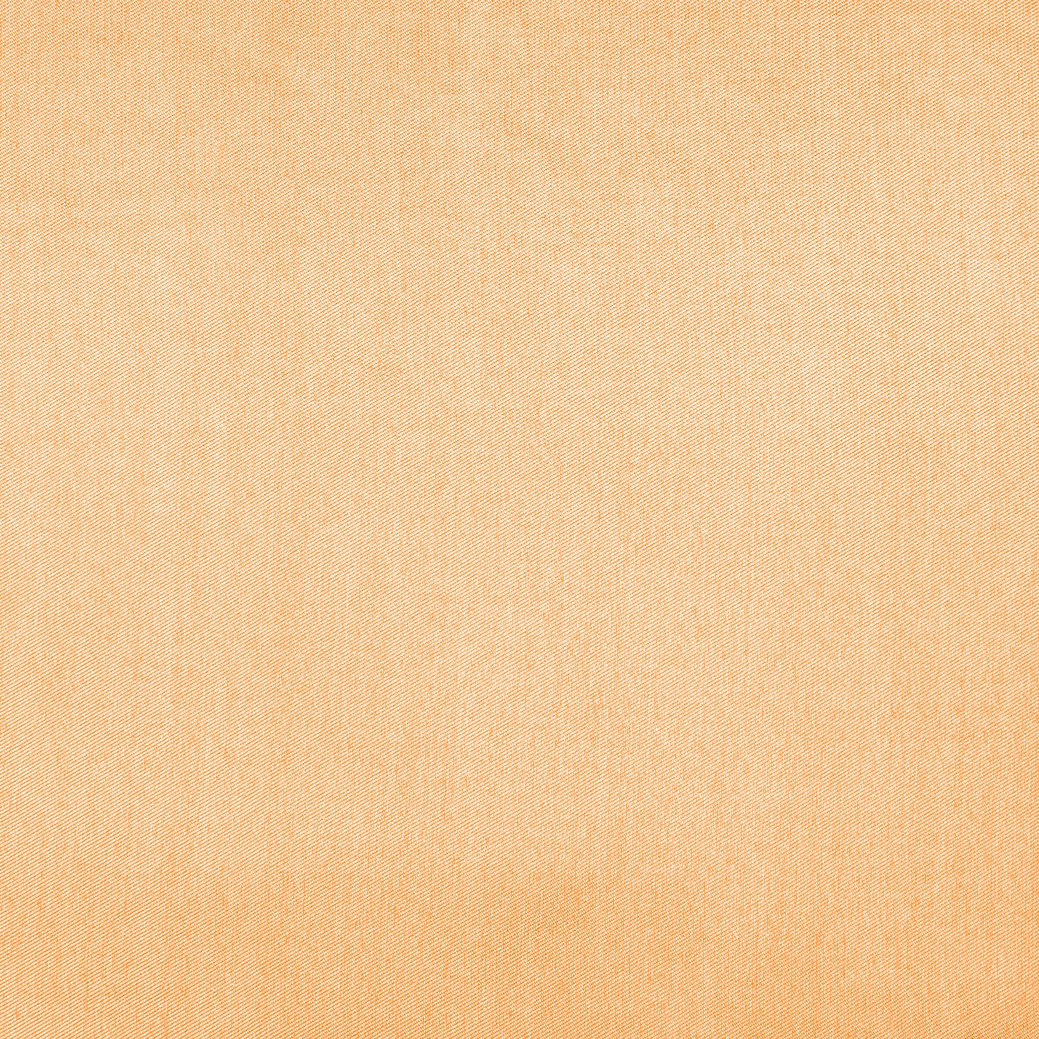 #color_SPRING NUDE