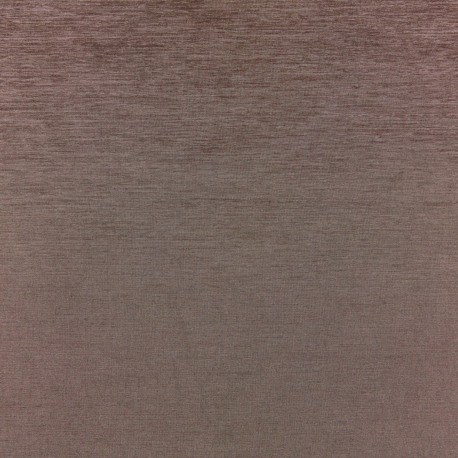 #color_PECAN NUT