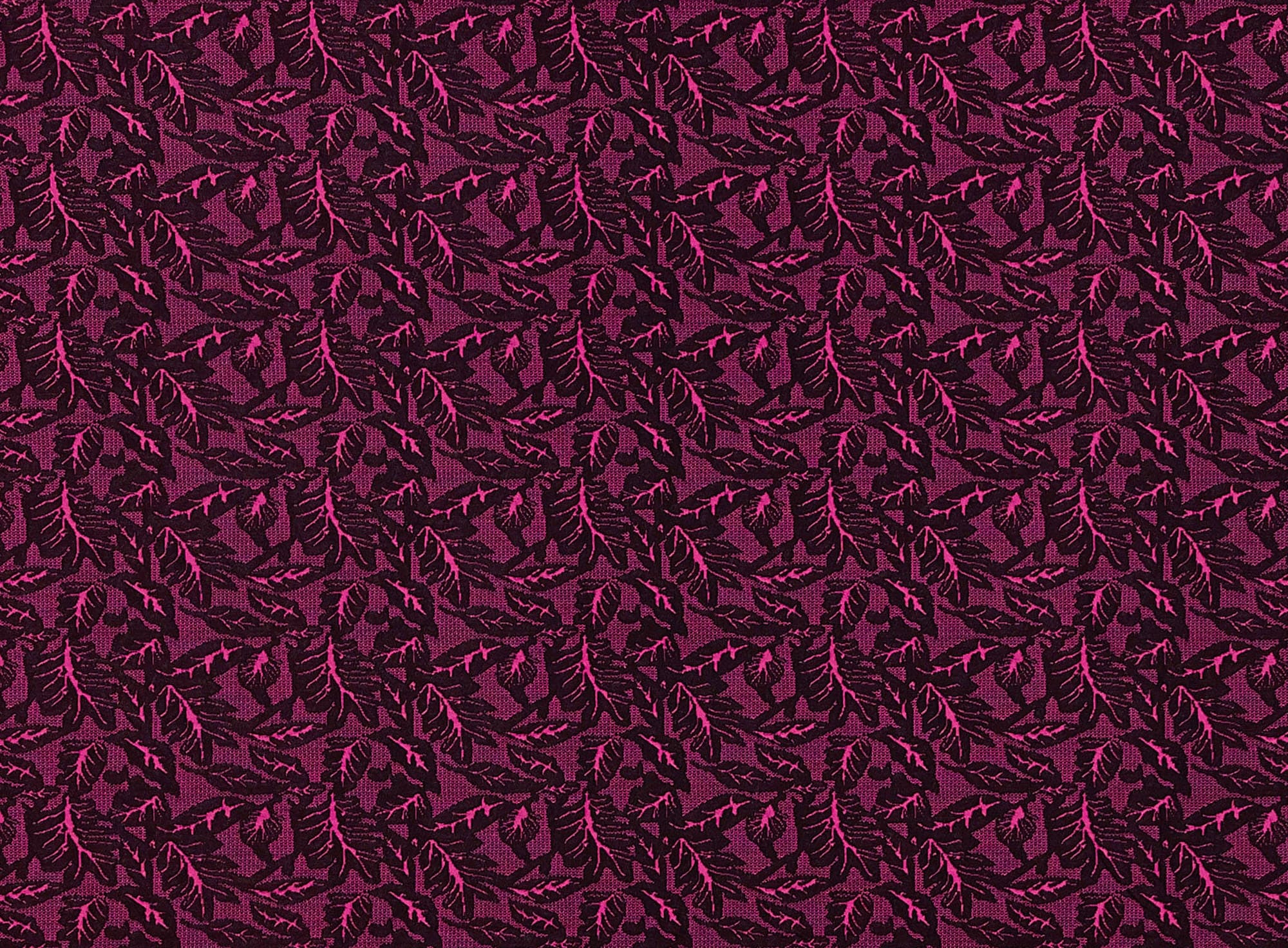 #color_393 BLK/FUCHSIA