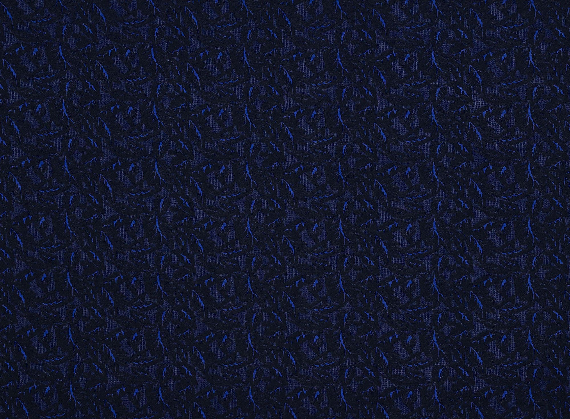 #color_494 BLK/ROYAL