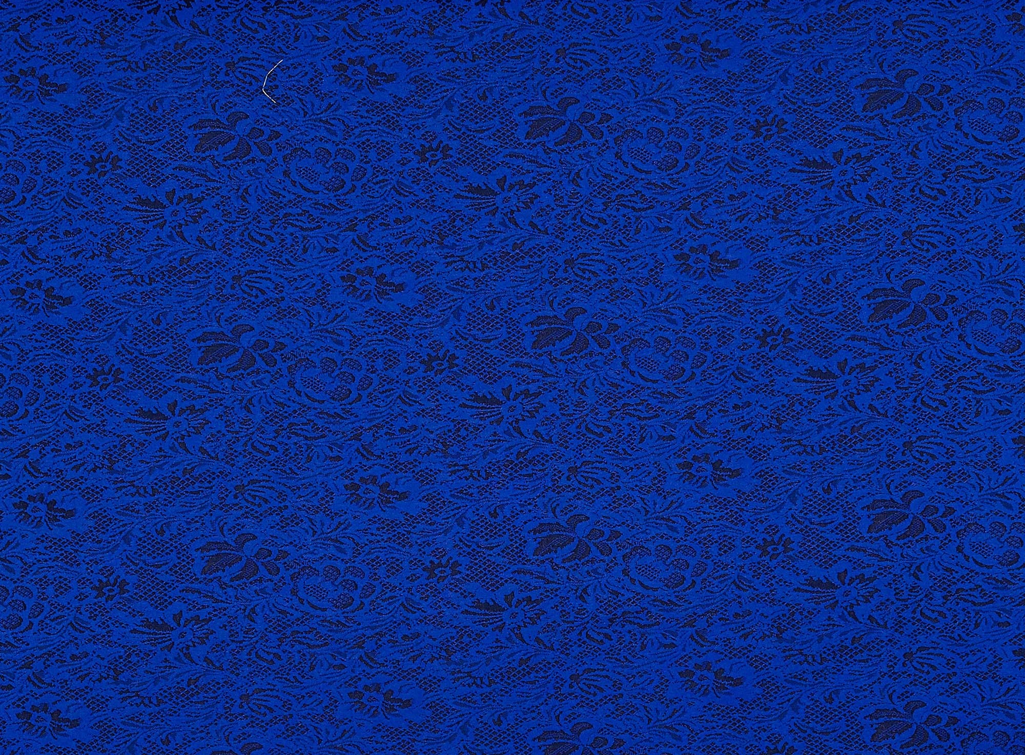 #color_494 BLK/ROYAL
