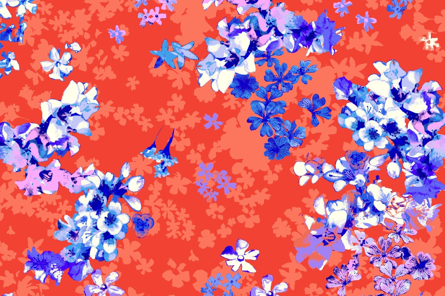 #color_APRICOT/COBALT