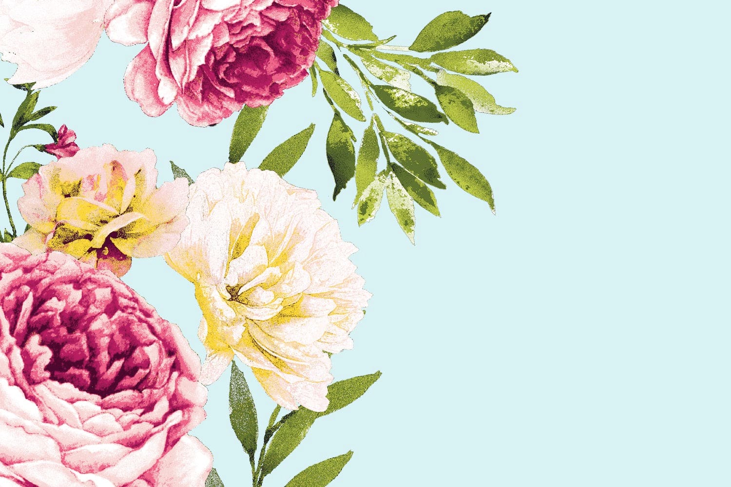 #color_CW 23 AQUA/YELLOQ