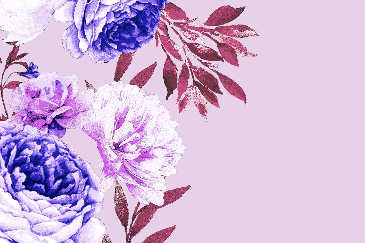 #color_CW 5 LILAC/BLUE