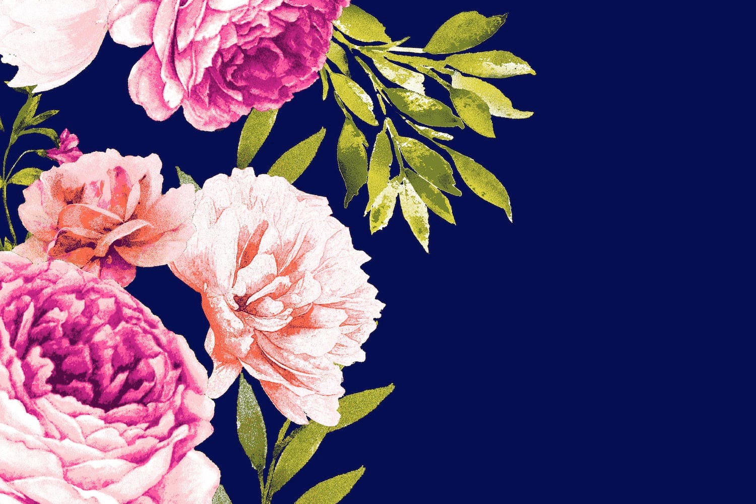 #color_CW 4 NAVY/PINK