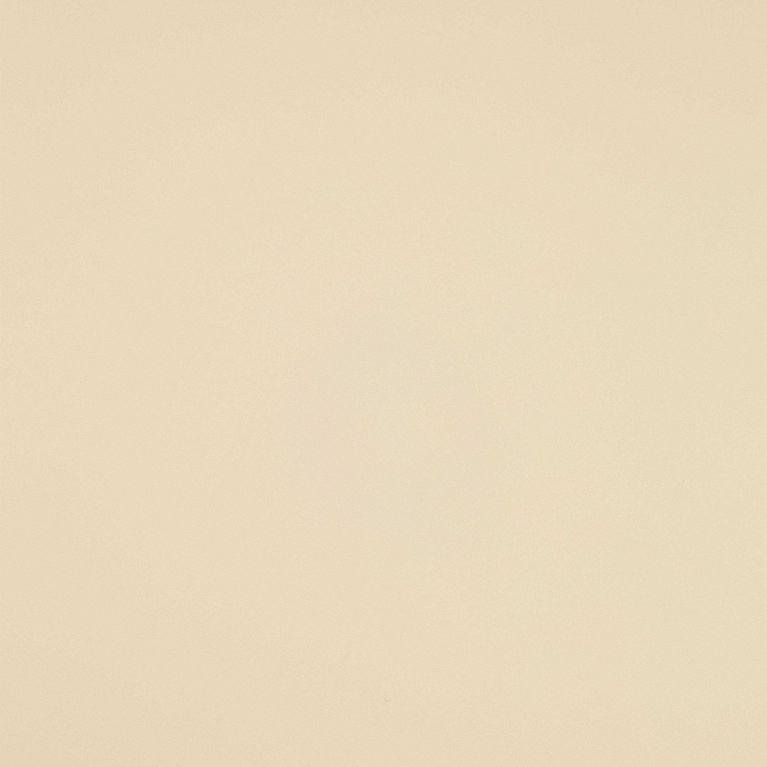 #color_TRANQUIL CREAM