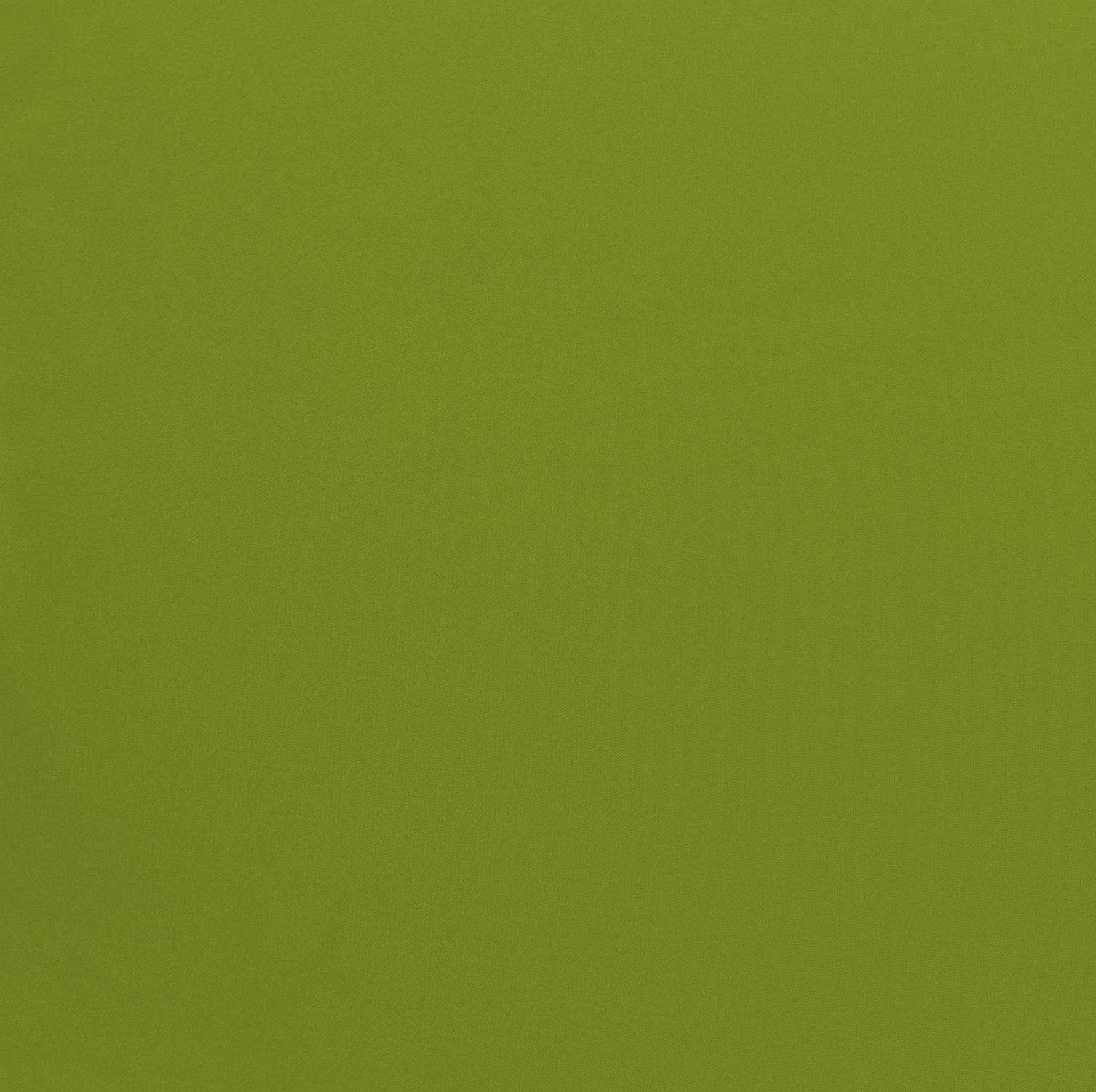 #color_COOL LIME