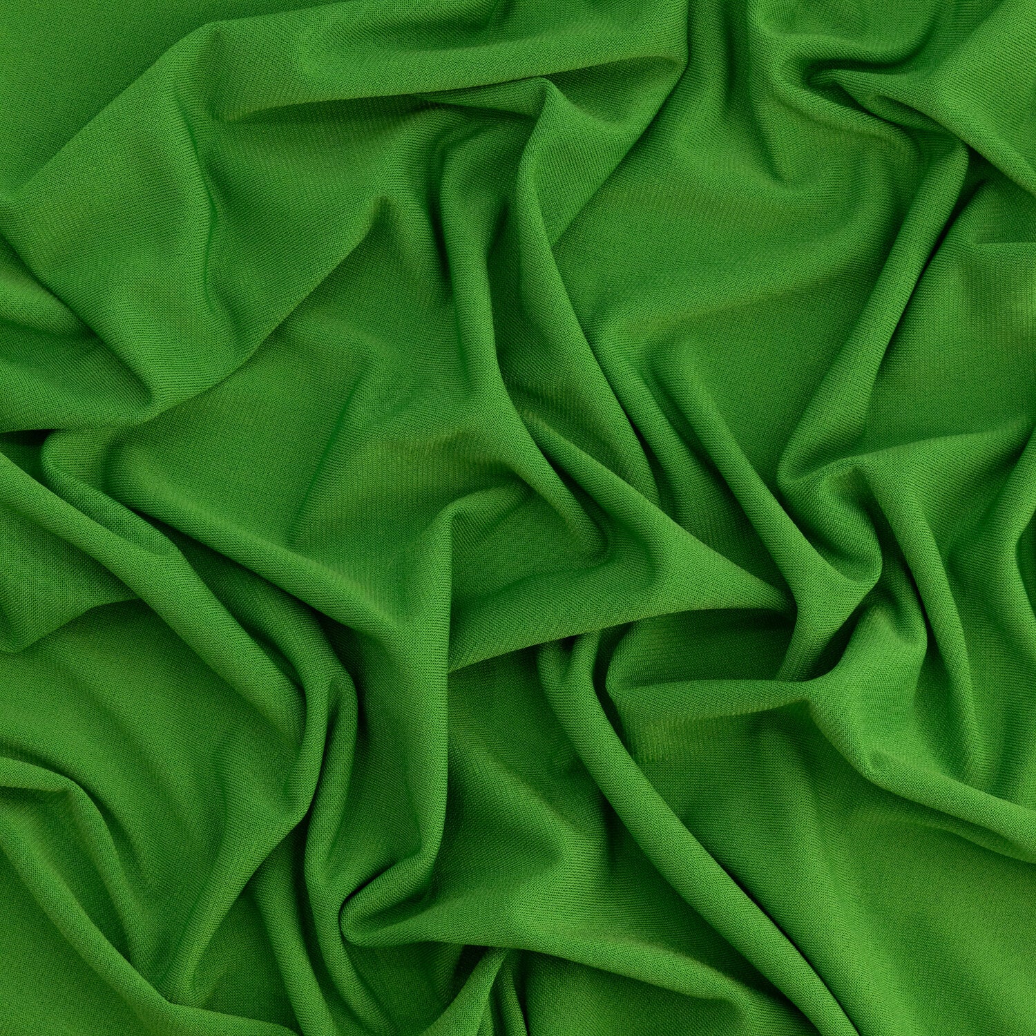 #color_CELERY BELLINI