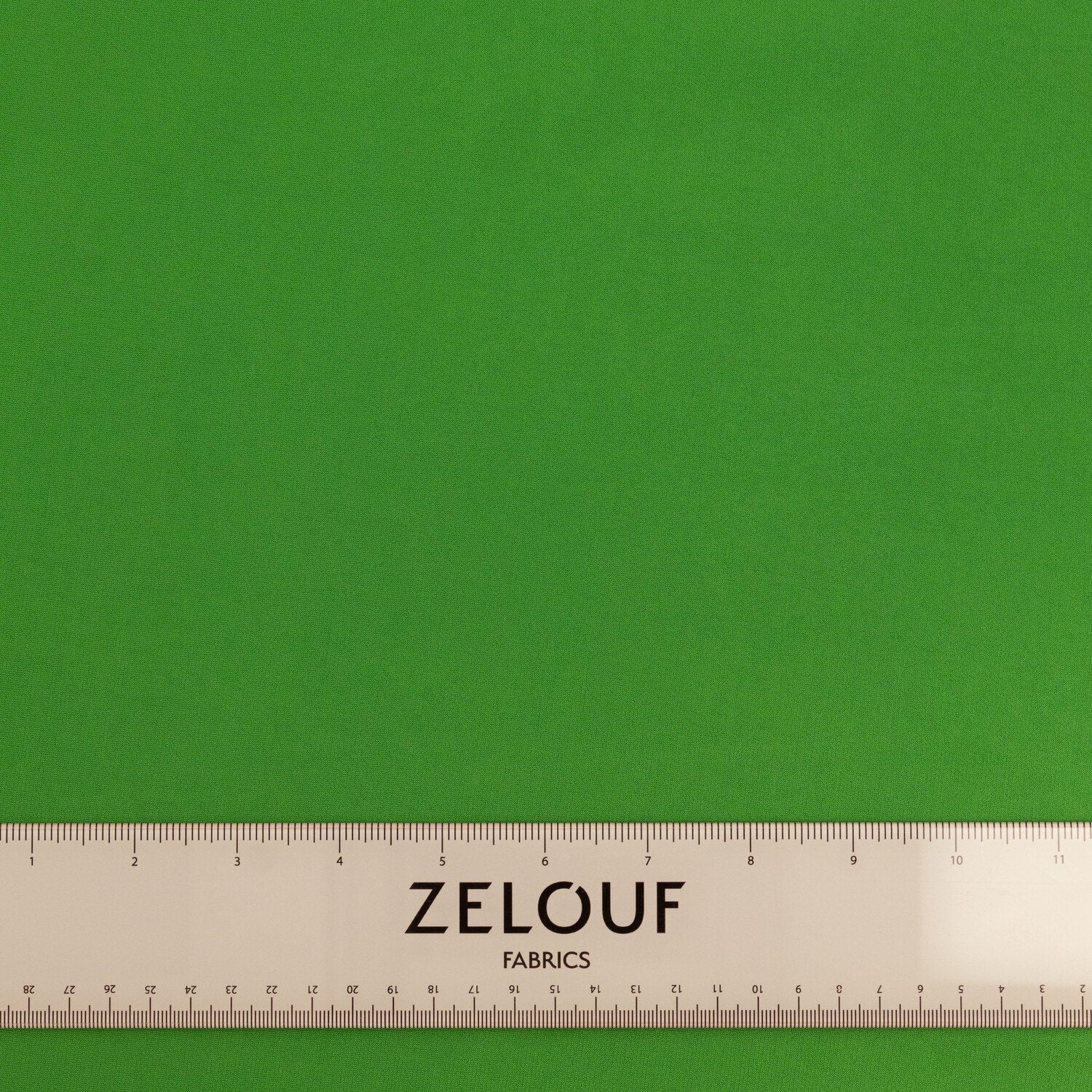 #color_CELERY BELLINI