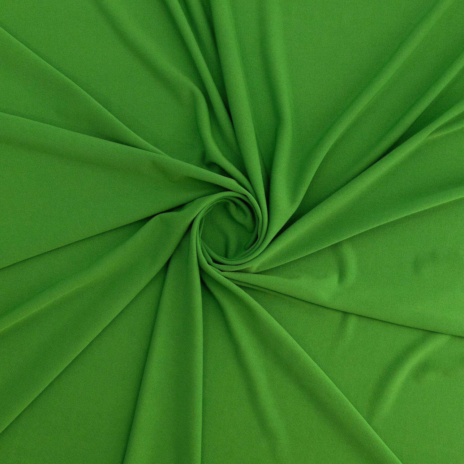 #color_CELERY BELLINI