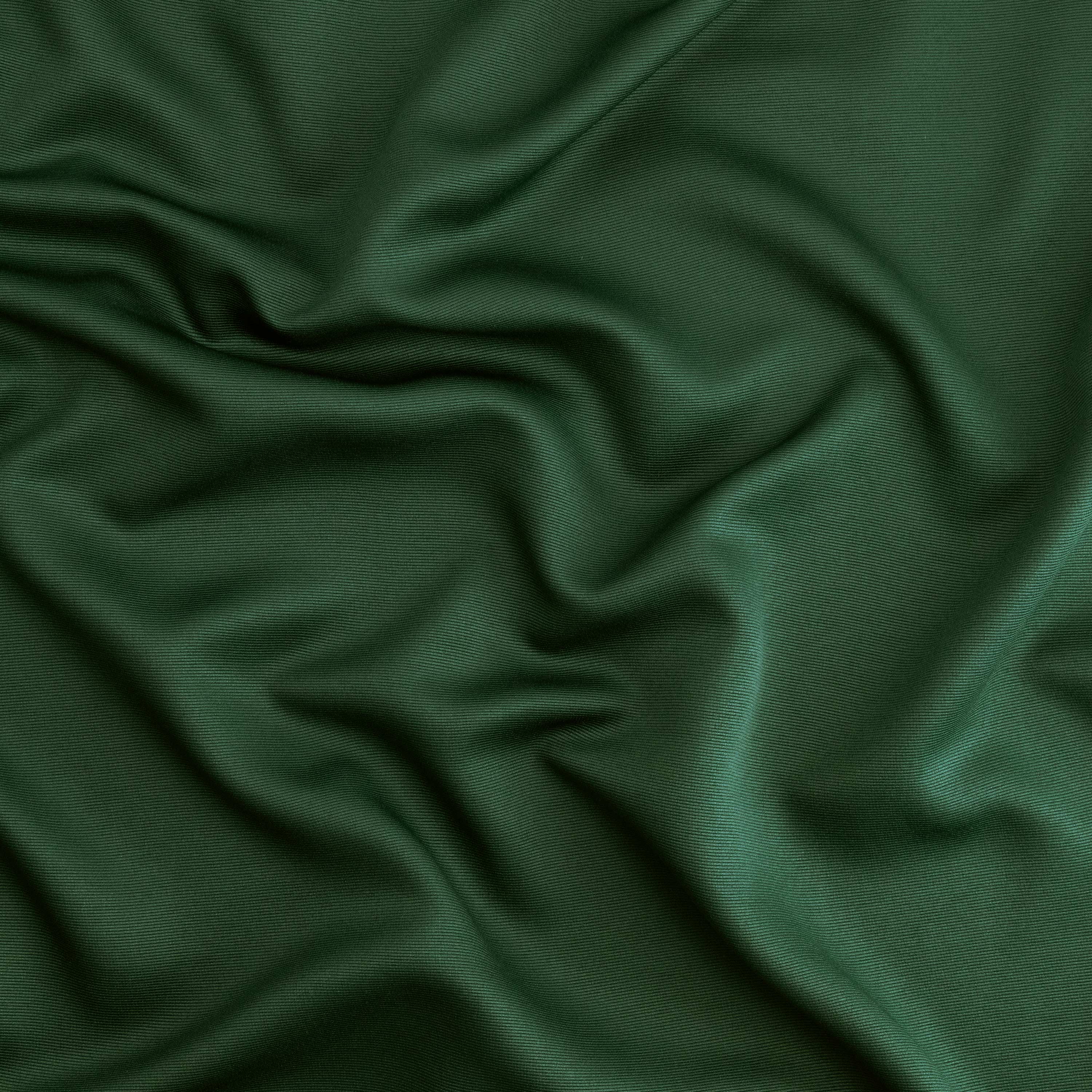#color_PINE