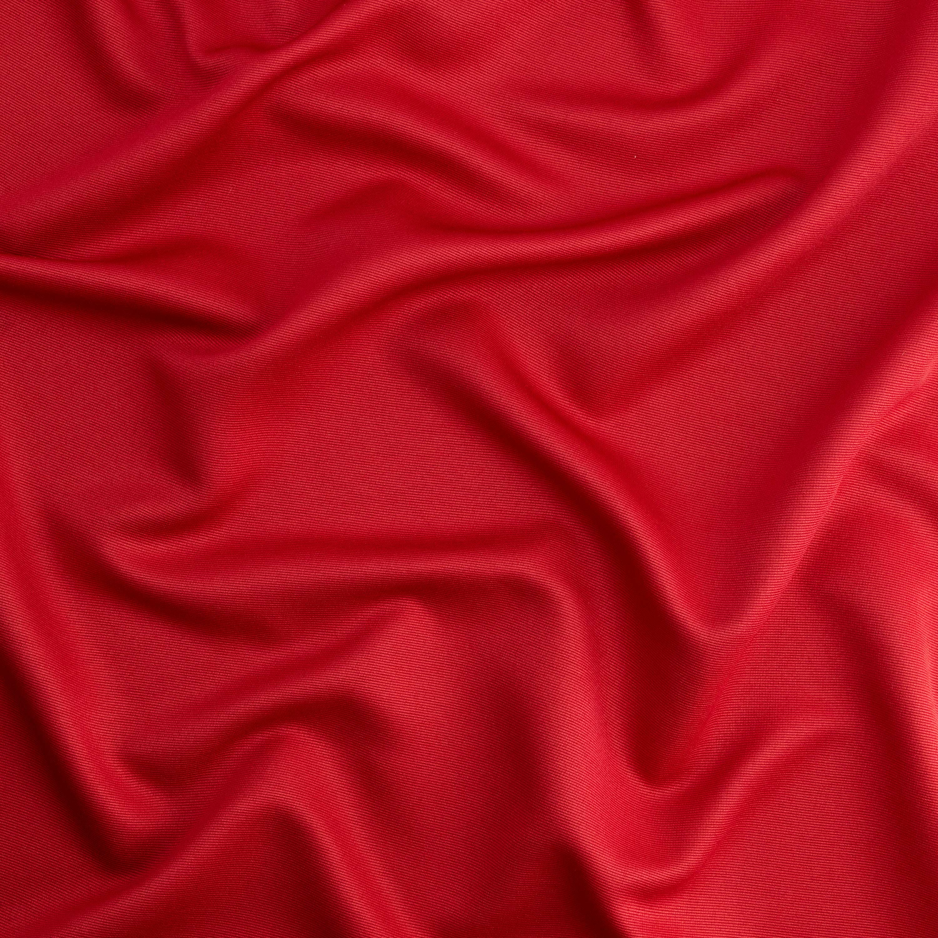 #color_RUBY