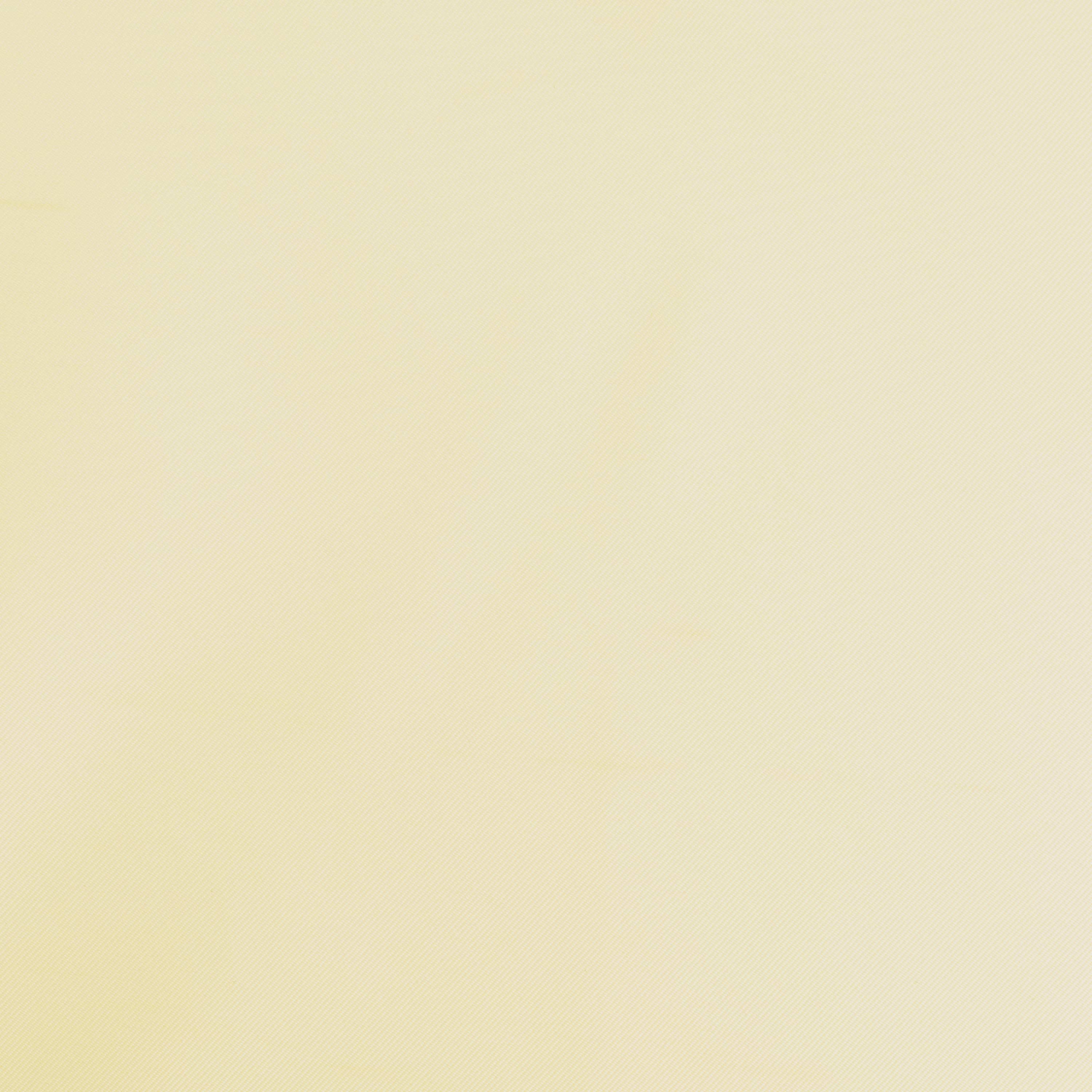 #color_LEMONSLICE