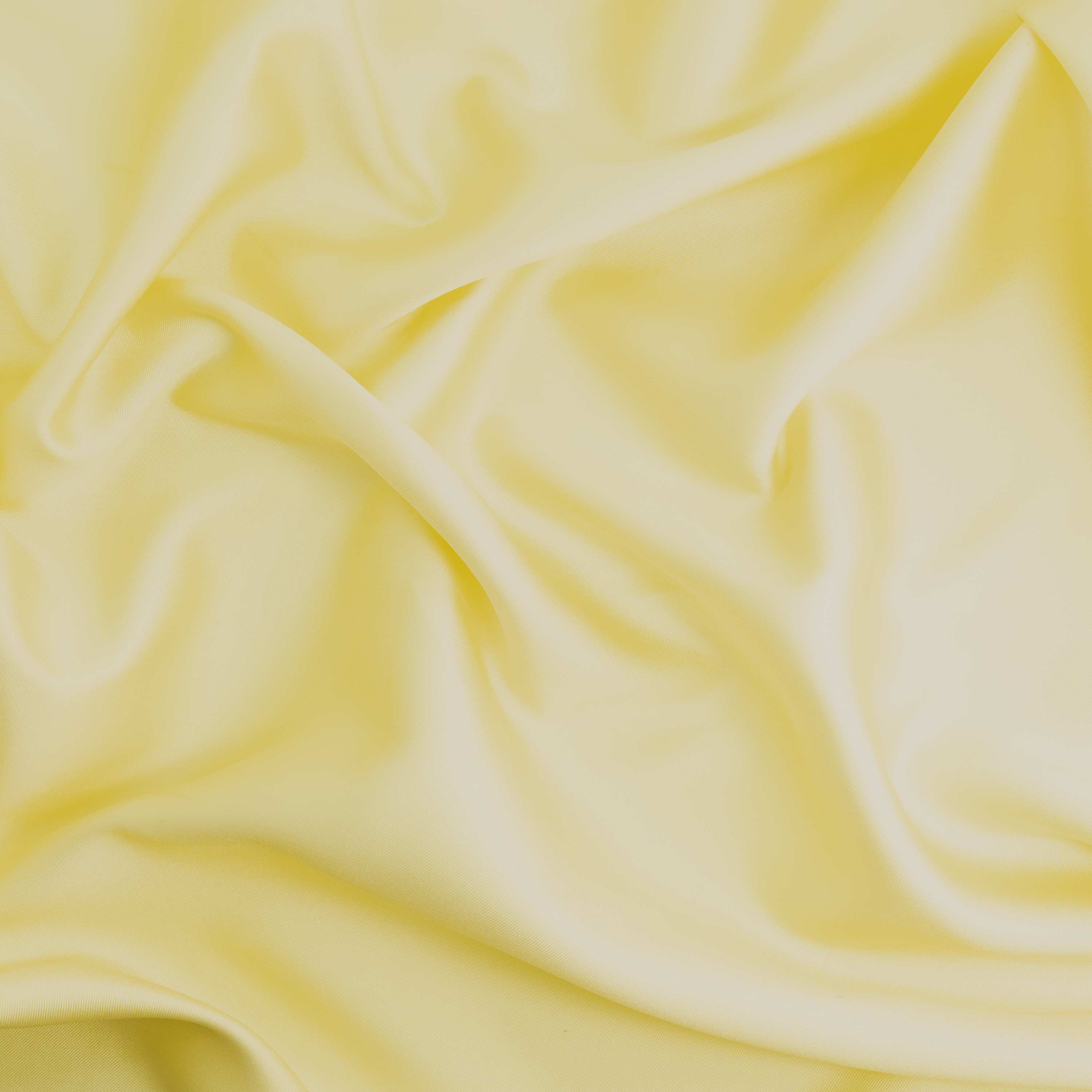 #color_LEMONSLICE