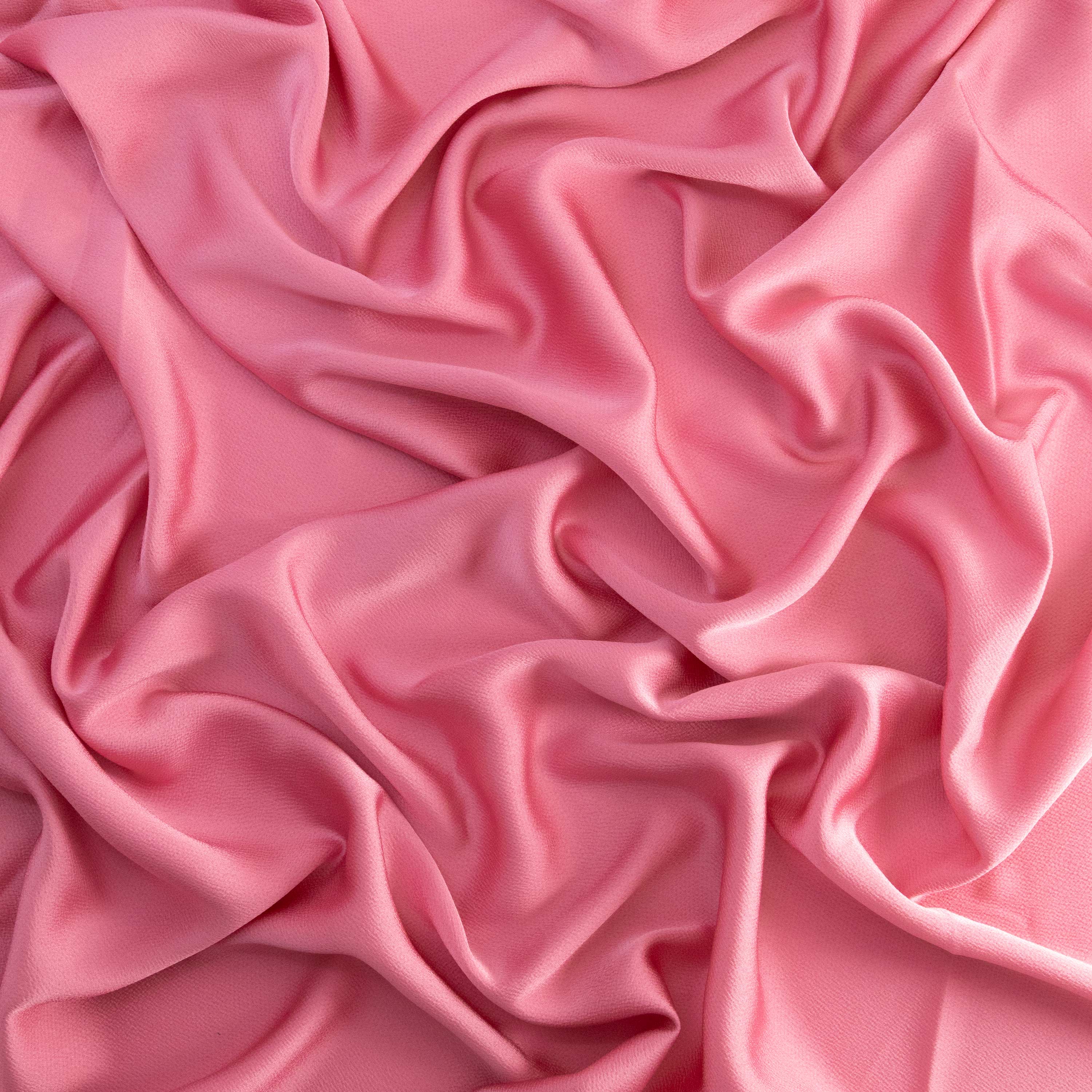 #color_LUSTER AZALEA