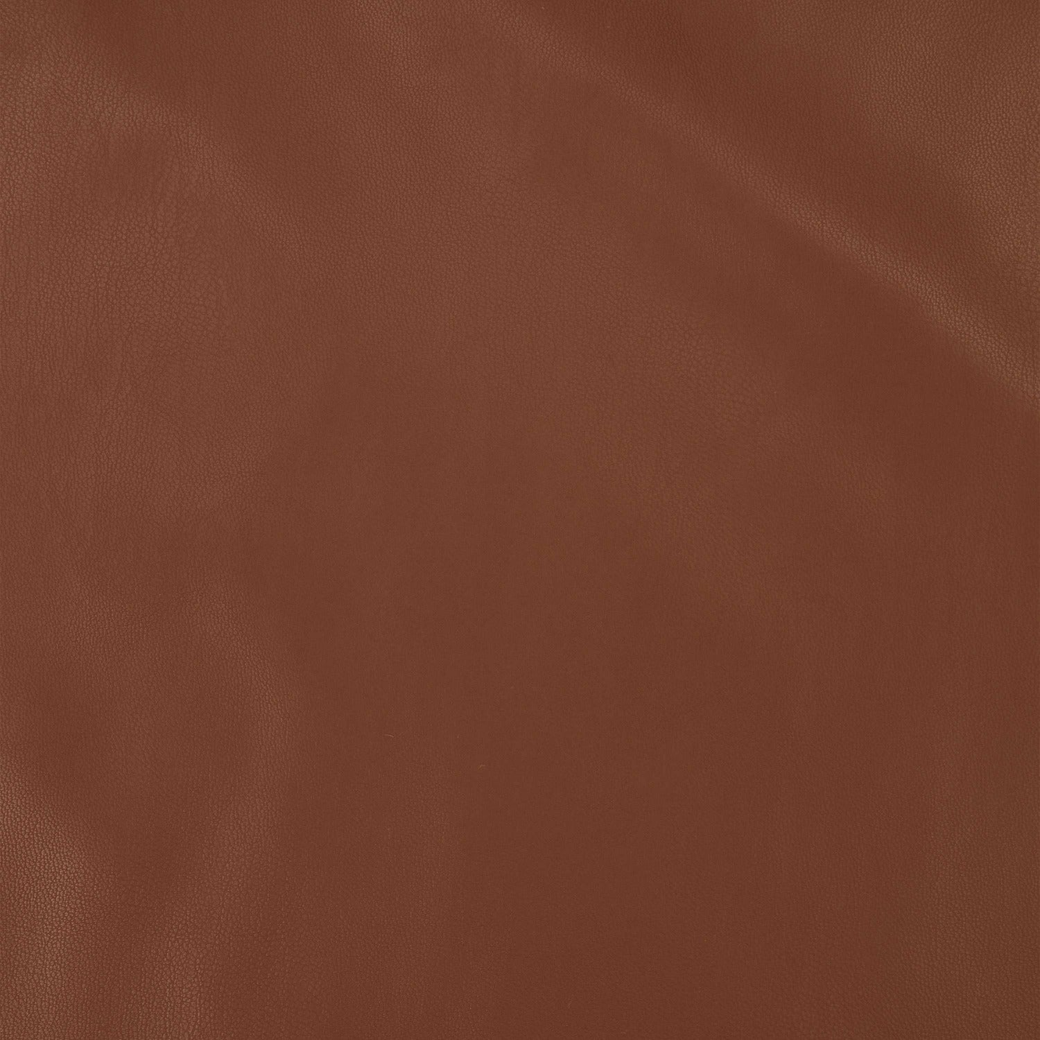 #color_CHOCOLATE BROWN