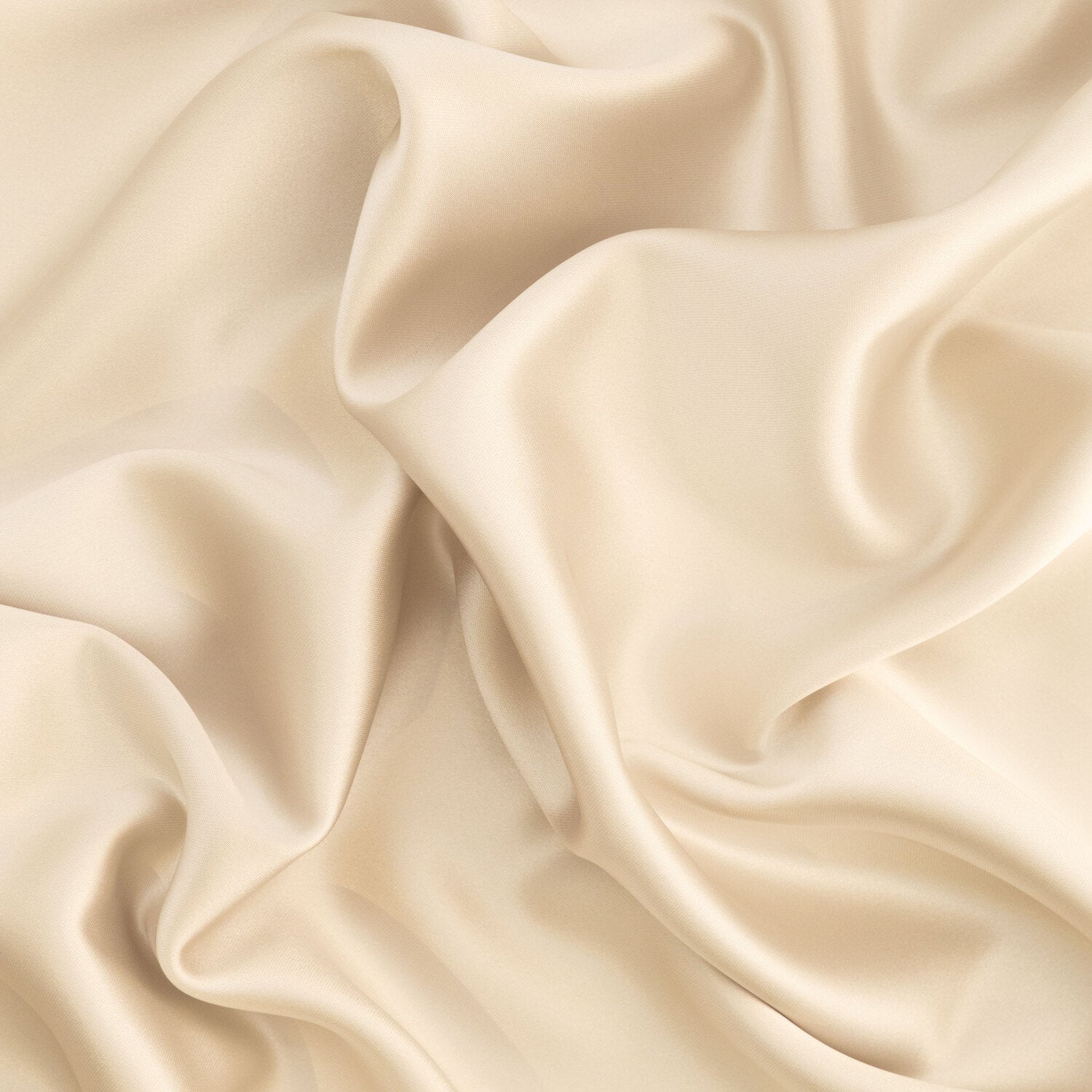 #color_IVORY FLOWER