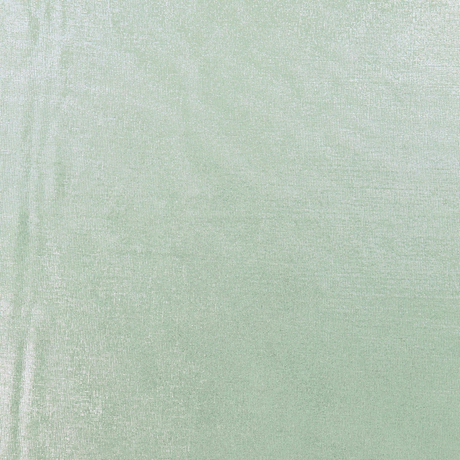 #color_SEAFOAM/SILVER