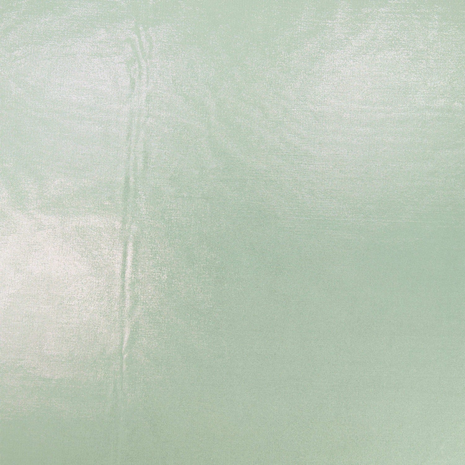 #color_SEAFOAM/SILVER